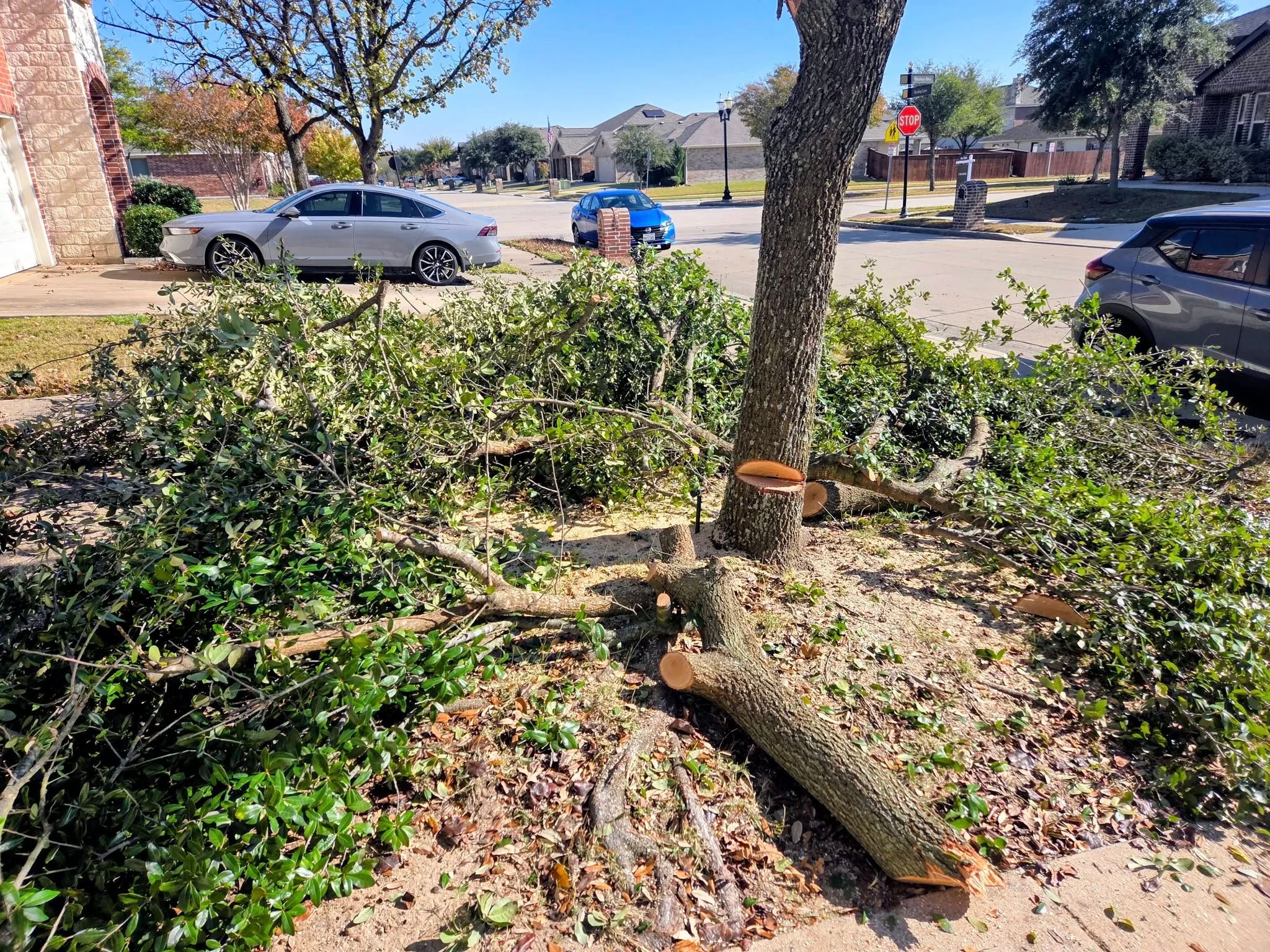  for Lavon Lawn Plus in Lavon, TX