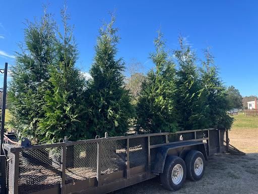  for Atlas Home Services in Mechanicsville, VA