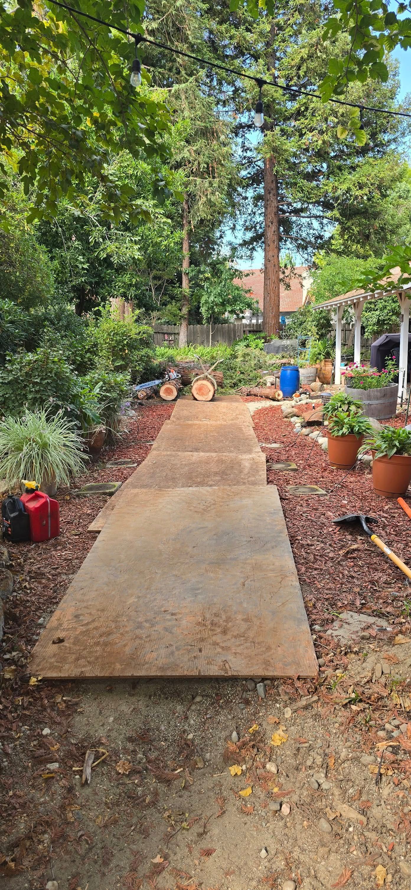  for George Staddan's Professional Tree Care in Placerville, CA
