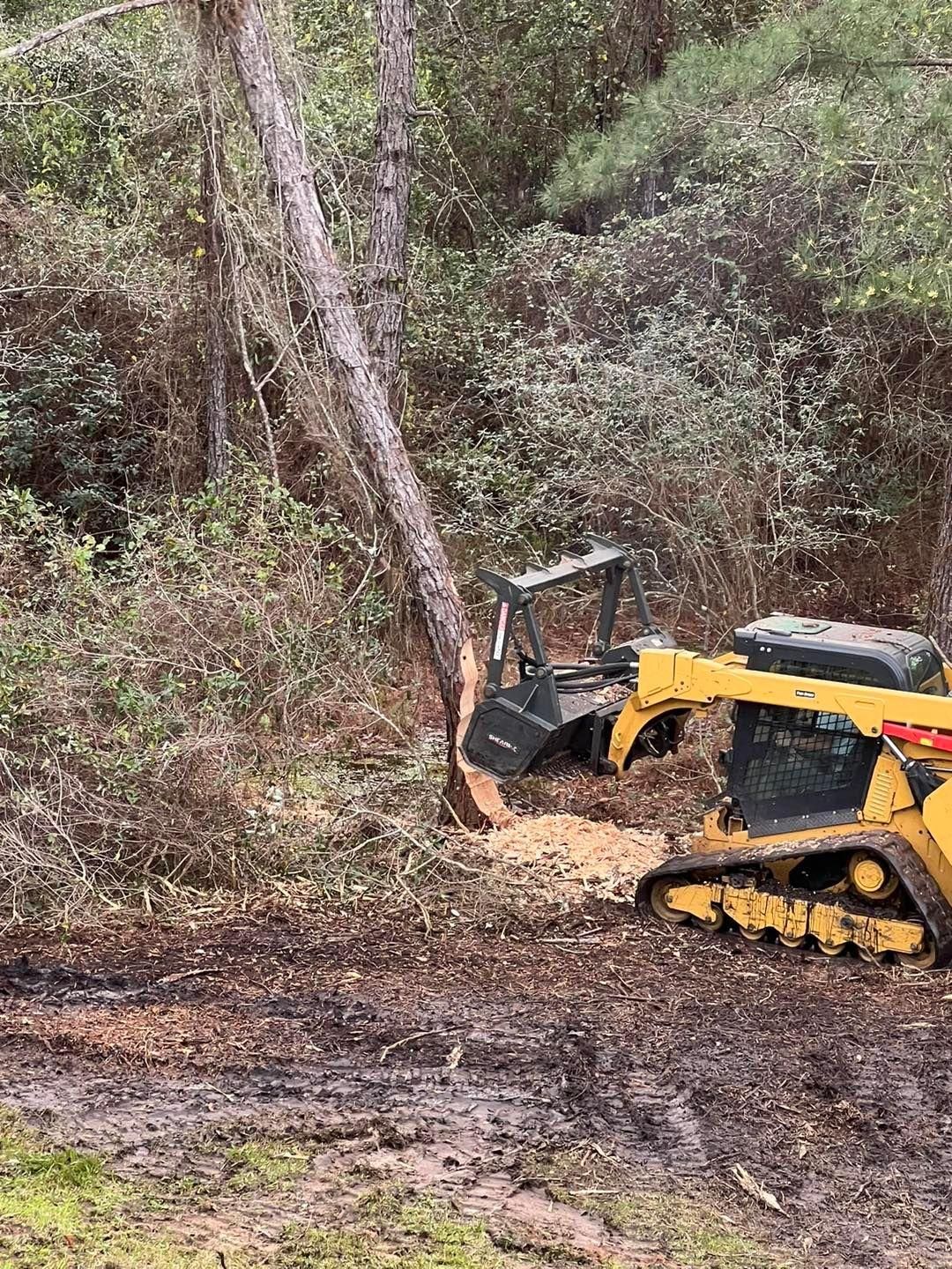  for White’s Land Maintenance in Milton,, FL