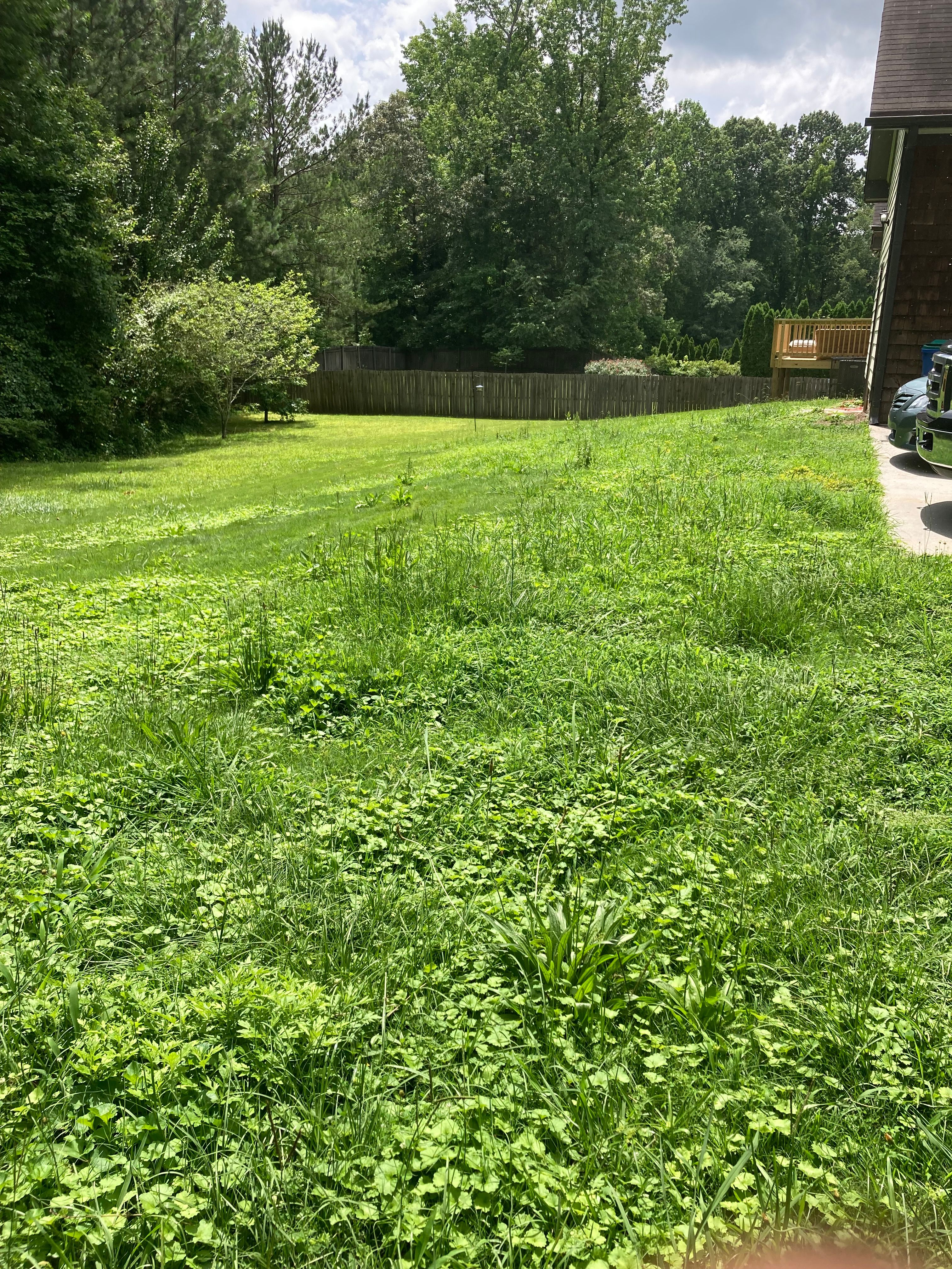 All Photos for Aries Lawnscapes in Atlanta, GA