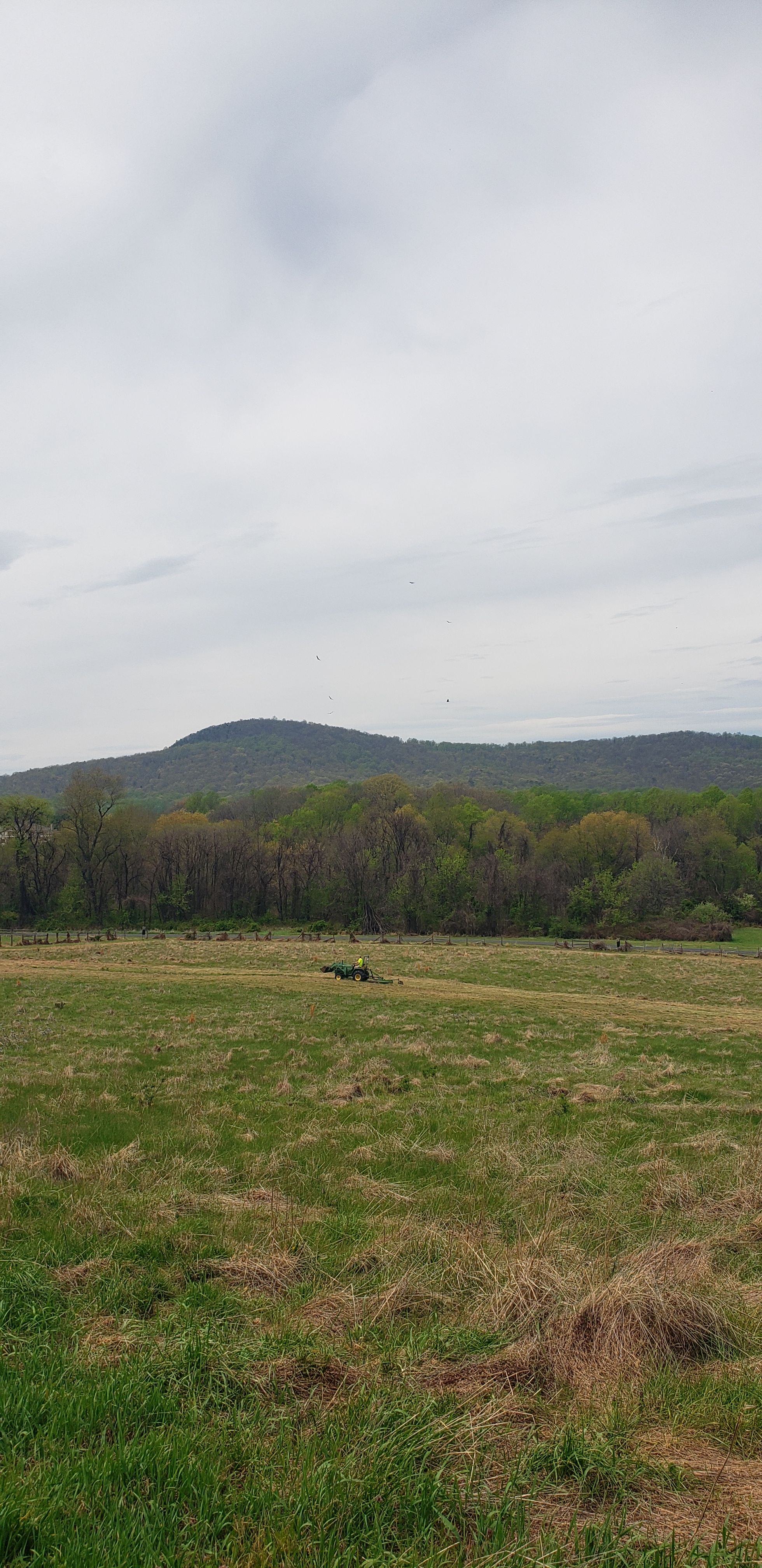  for Clean Cut Lawns & Landscaping in Dickerson, MD