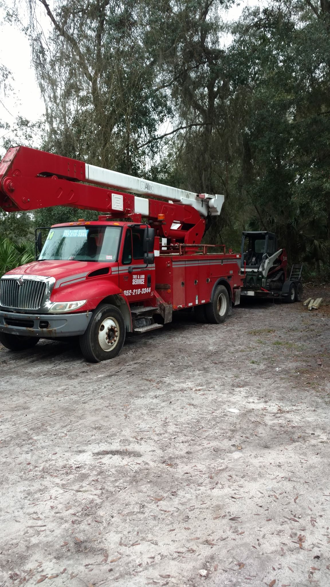 Tree Removal for Asbell's Tree & Land Services in Gilchrist County, FL