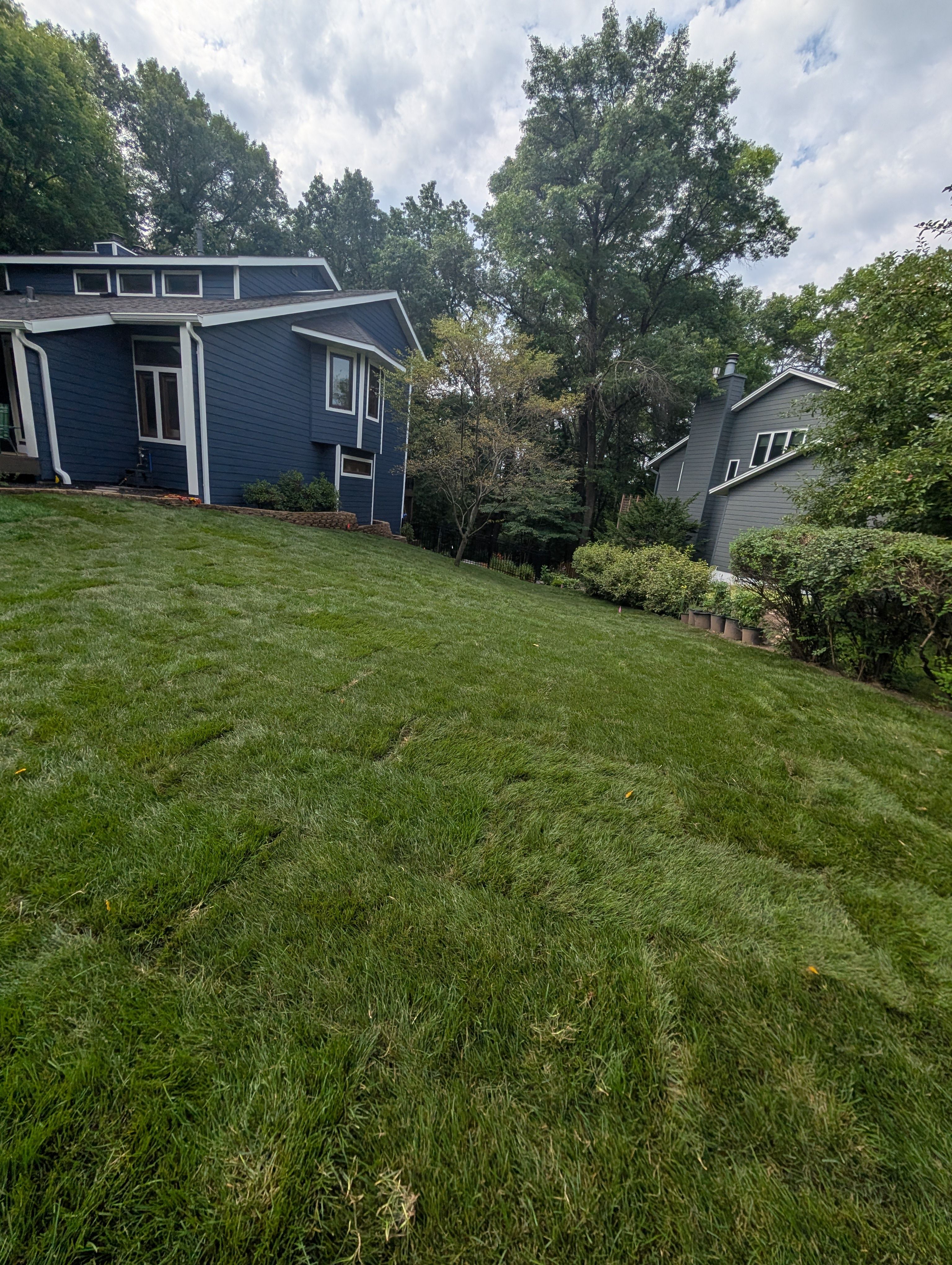  for Urban Green Lawncare & Snow Removal in Lakeville, MN