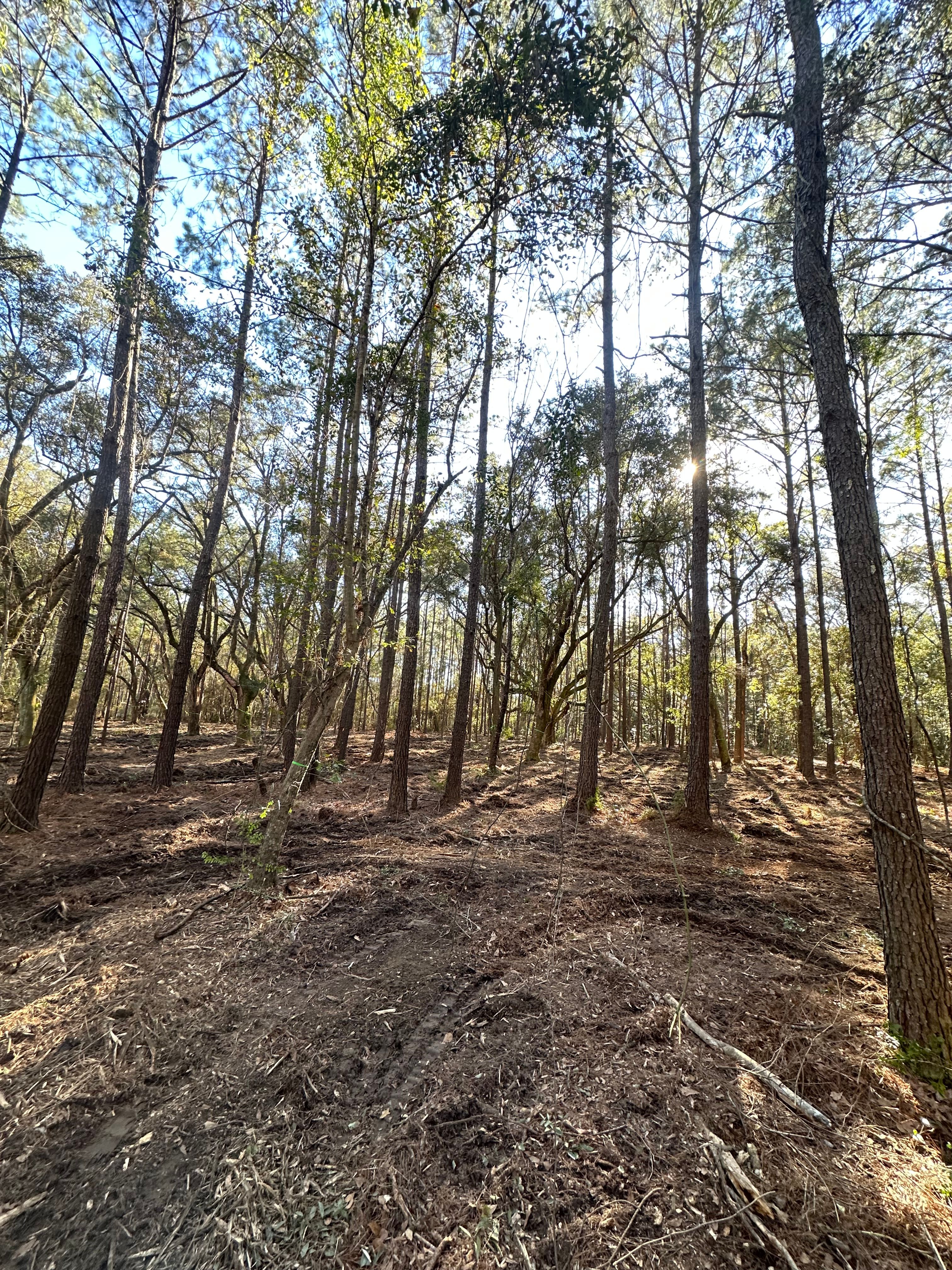  for Platinum Construction llc in Pearl River, MS