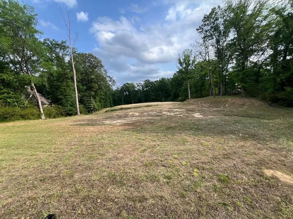  for Sanchez Z. Landscaping in Memphis, TN