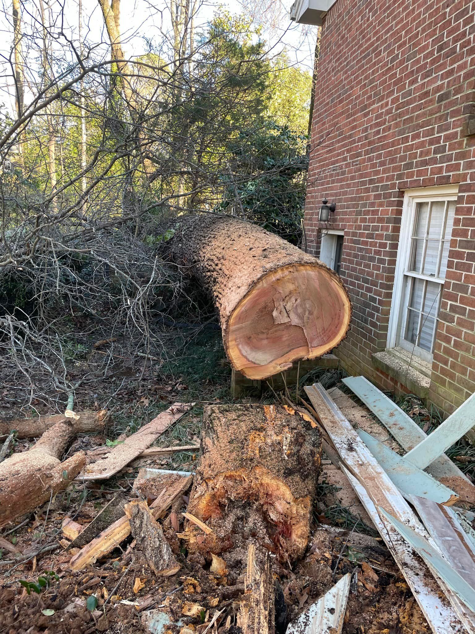  for Bulldawg Disaster Response in Atlanta, GA