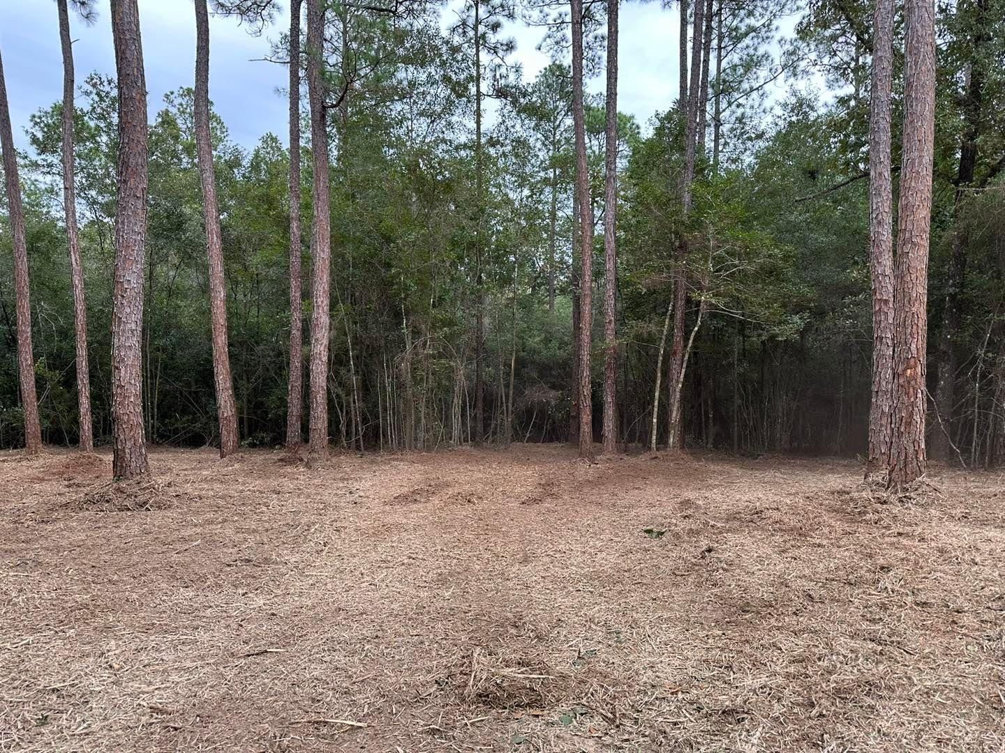  for White’s Land Maintenance in Milton,, FL