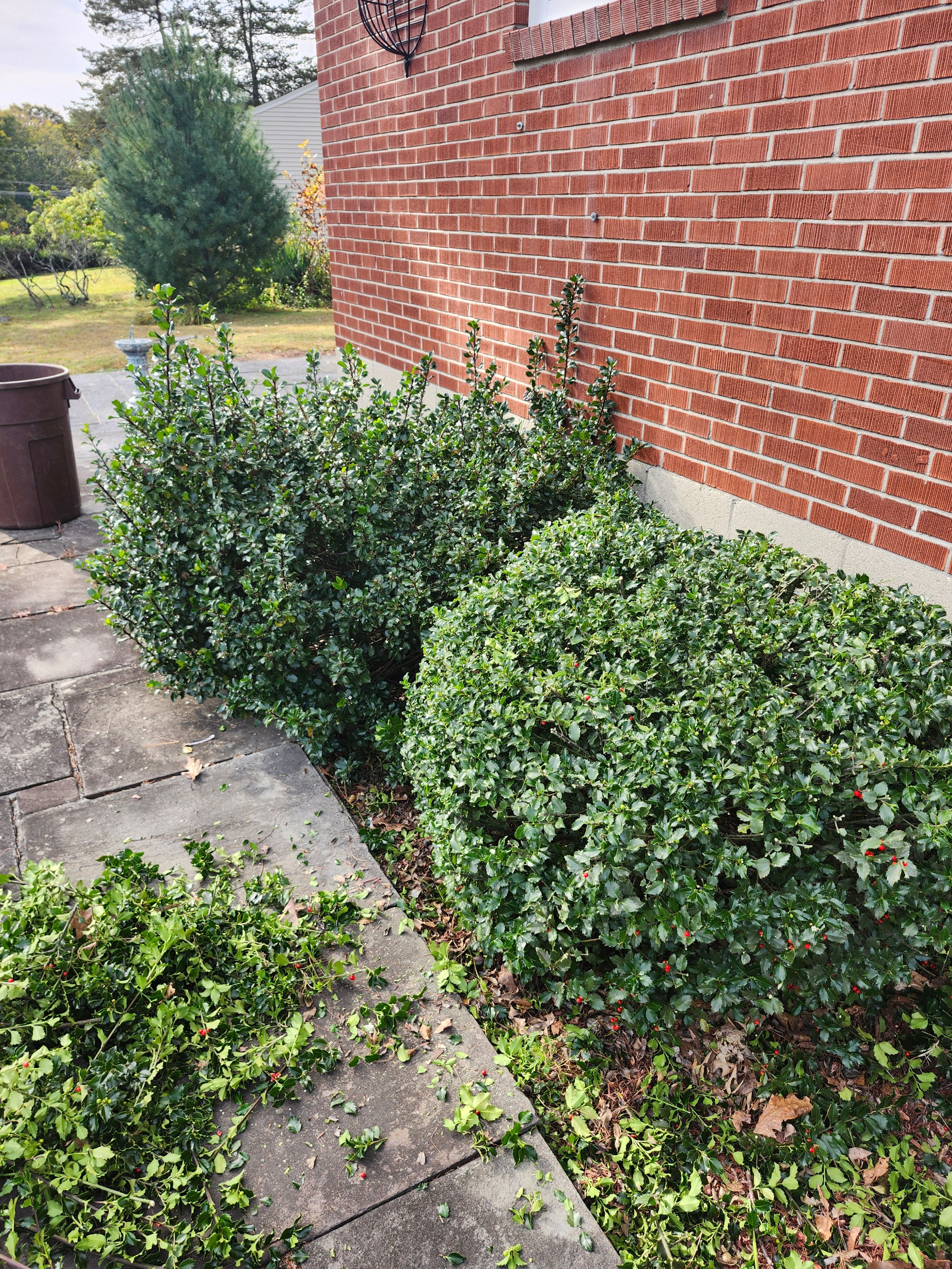  for Landscape Innovations LLC in Torrington, CT