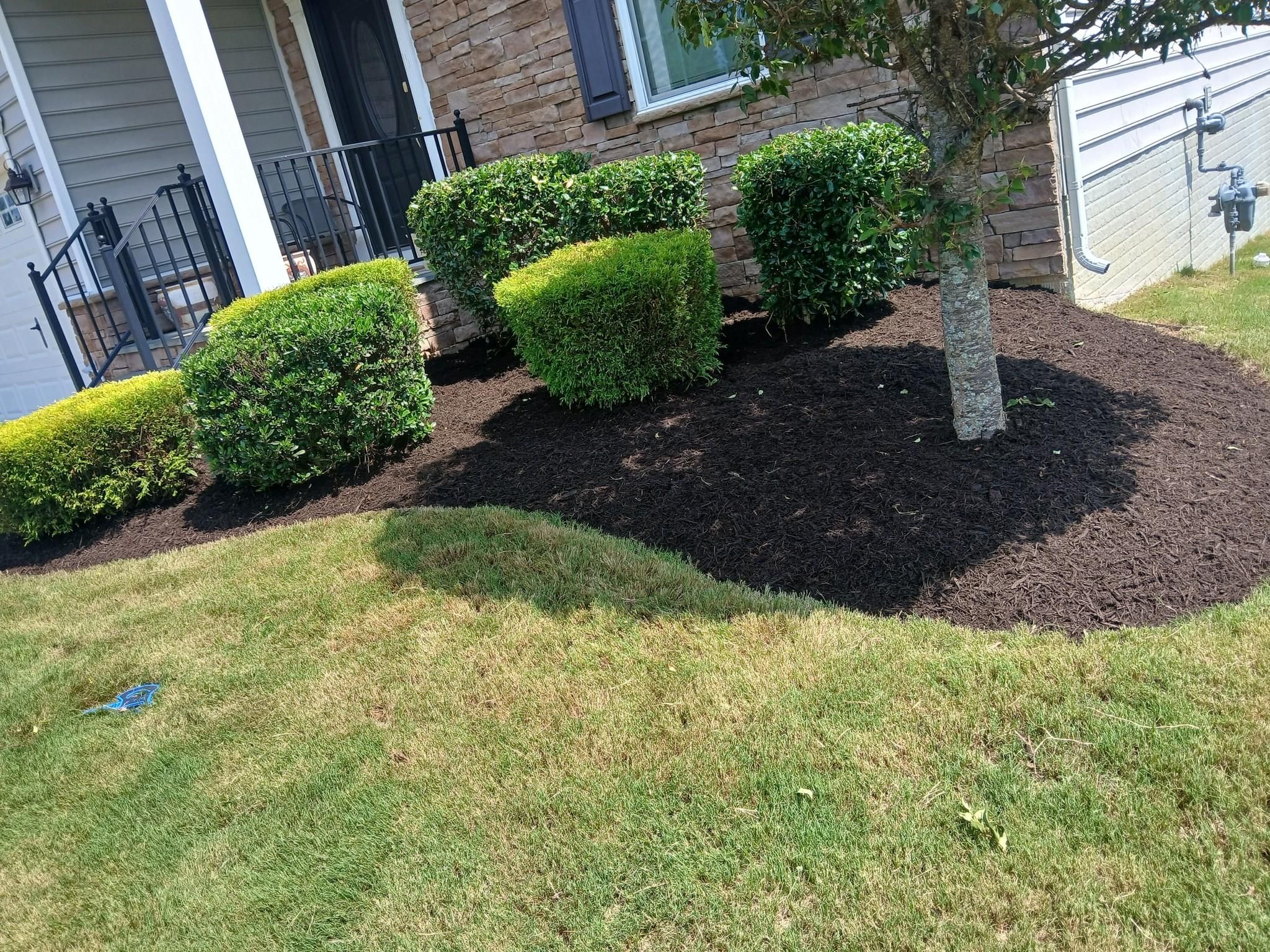  for Isaias Velasquez Landscaping and Services in Williamsburg, VA
