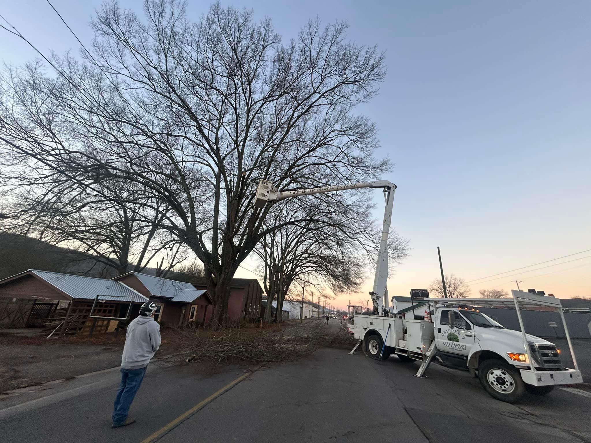  for Chipper's Tree Service  in Fort Payne, AL