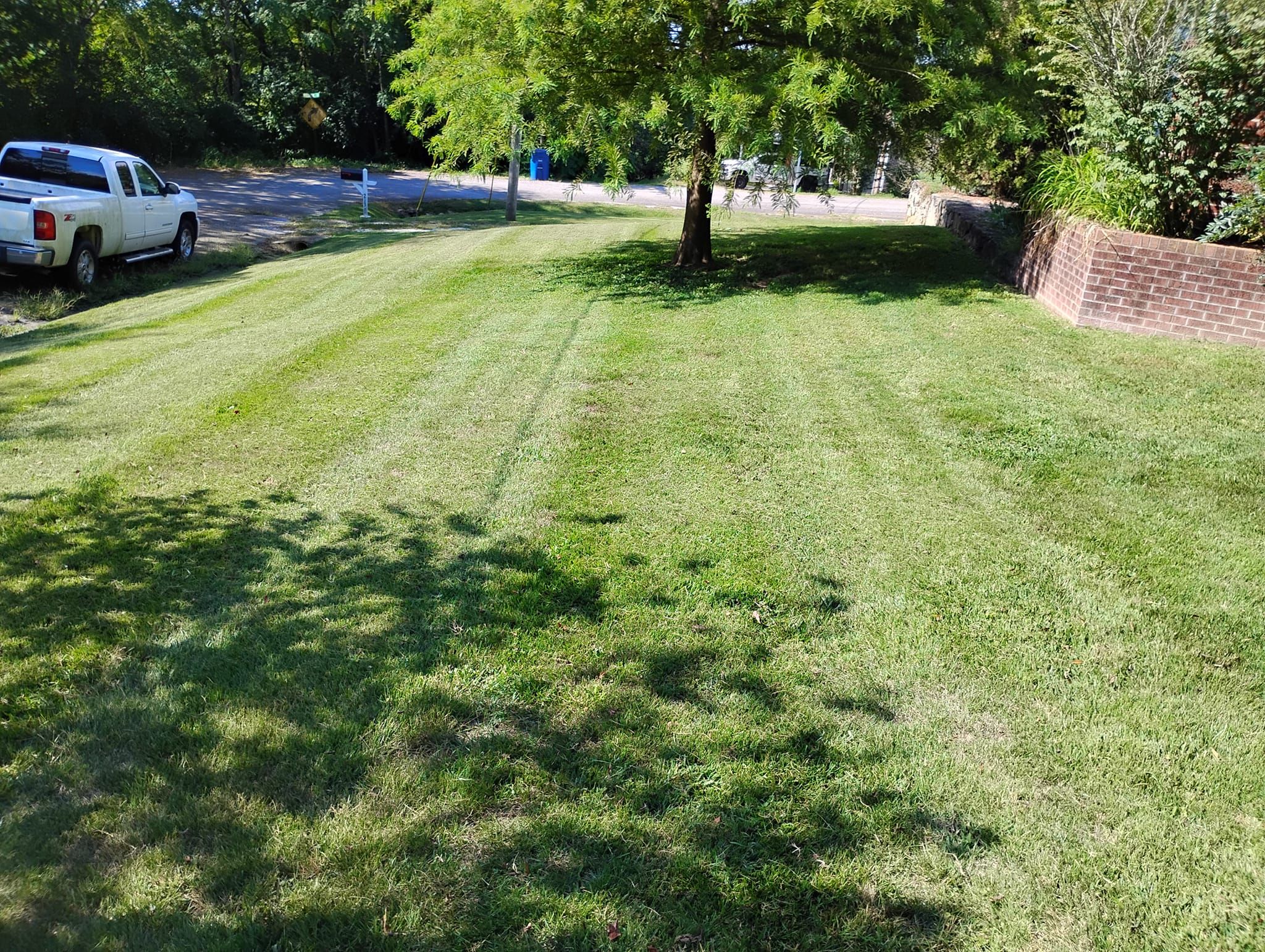 Lawn Care for Mark's Lawn Care in Mount Pleasant, TN