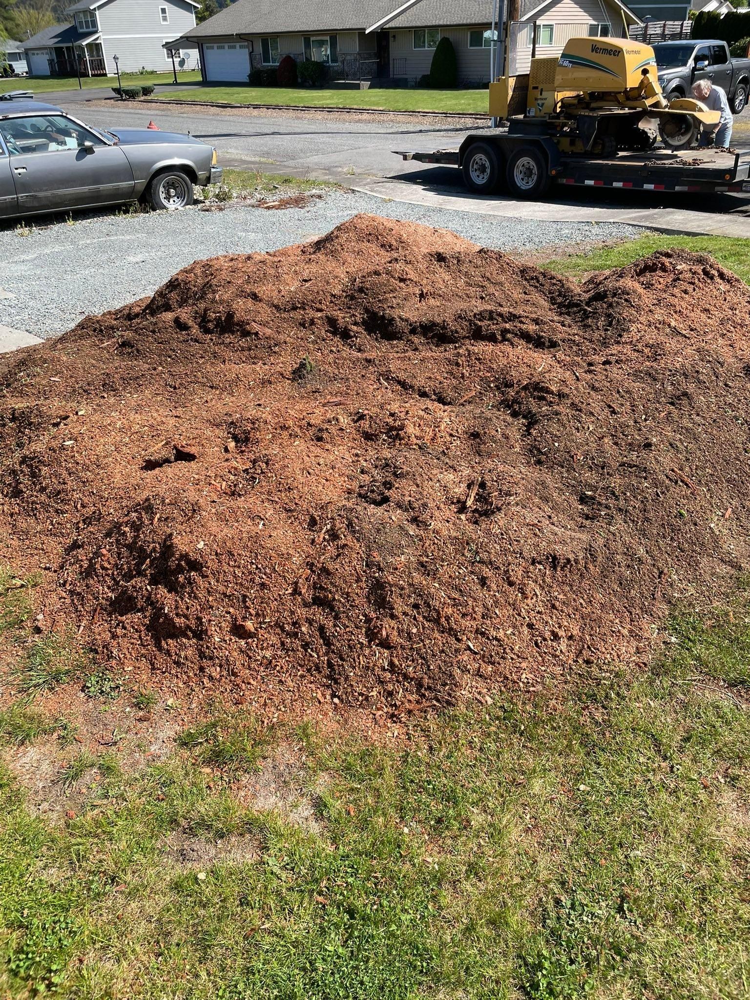 All Photos for Wilderness Stump Grinding in Orting, WA
