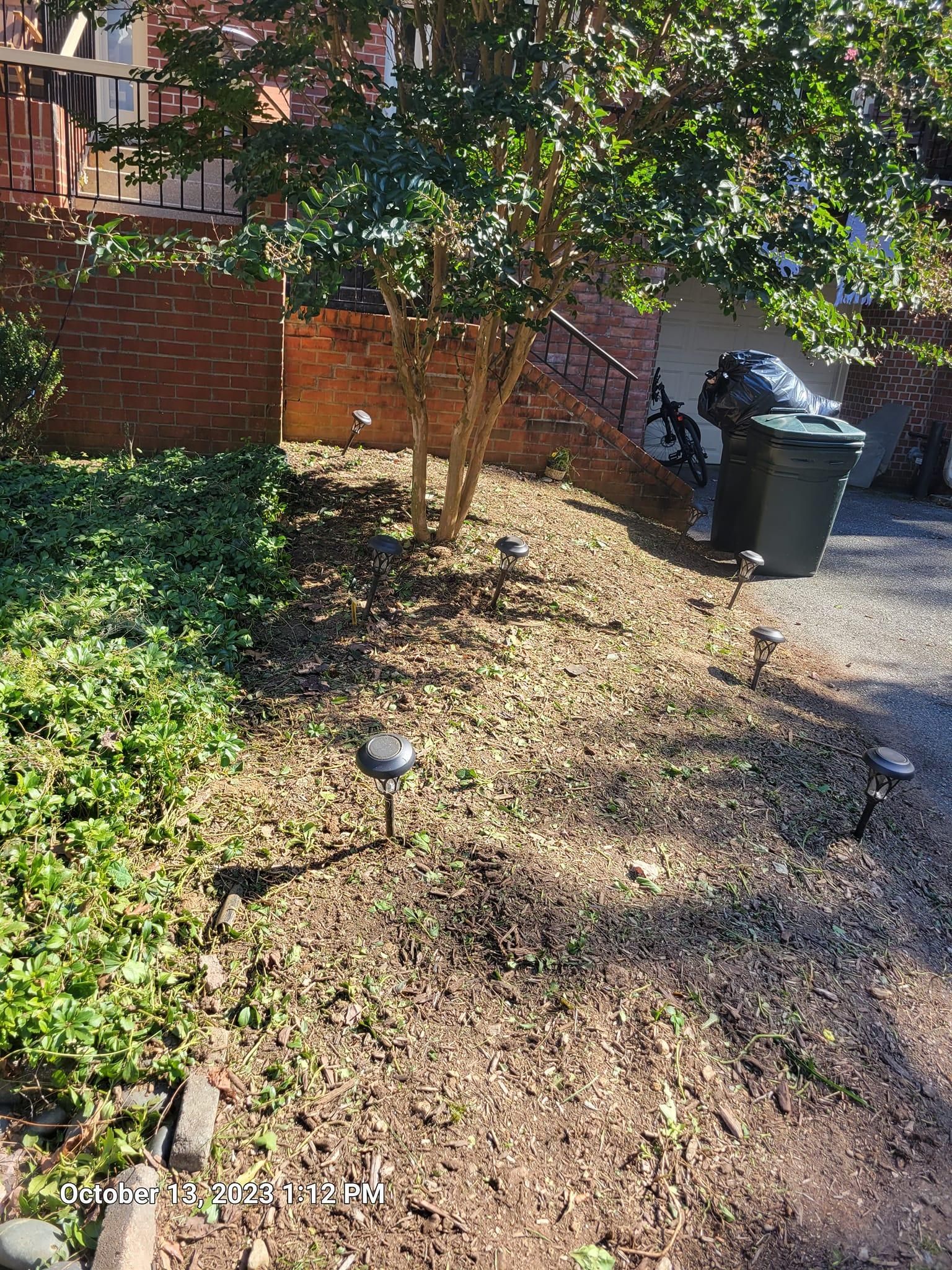 Fall and Spring Clean Up for Papayards in Arlington, VA