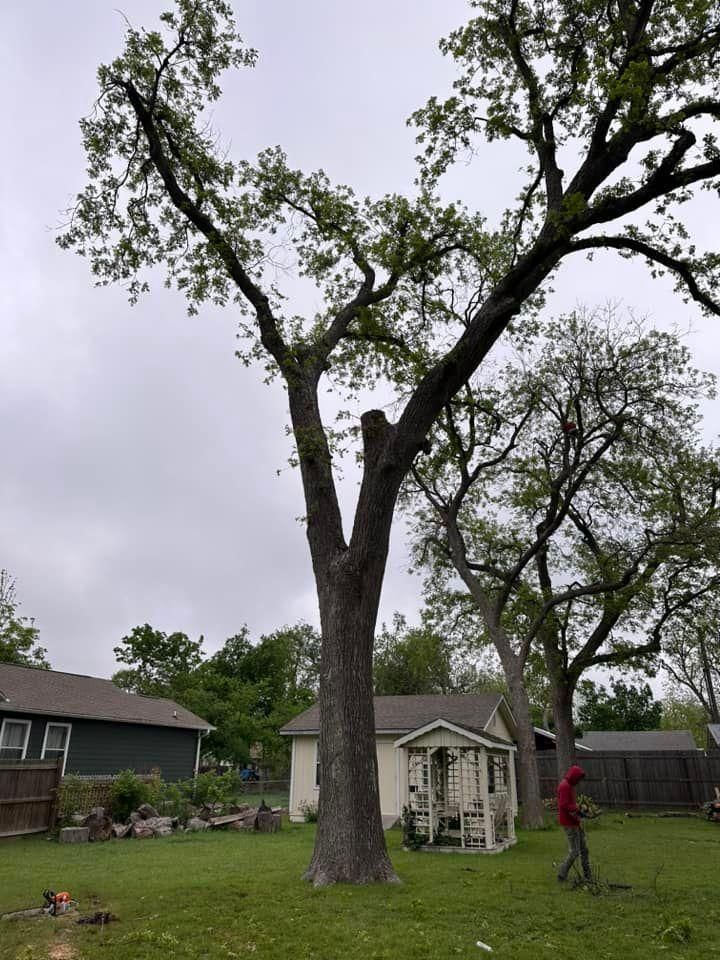 Mowing for Allen Lawn Care in Taylor, Texas