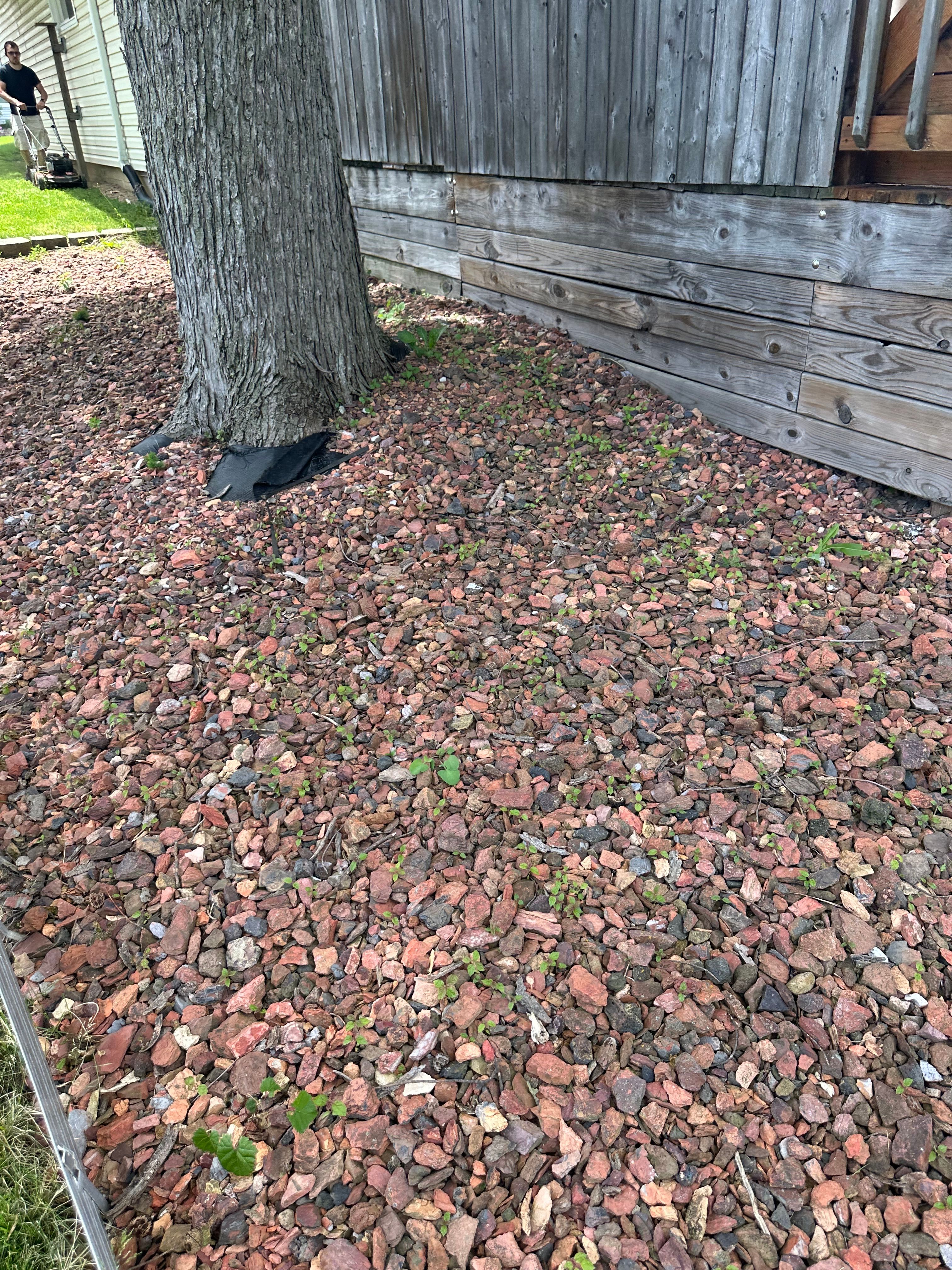  for OT Lawn and Landscaping LLC in Carey, OH