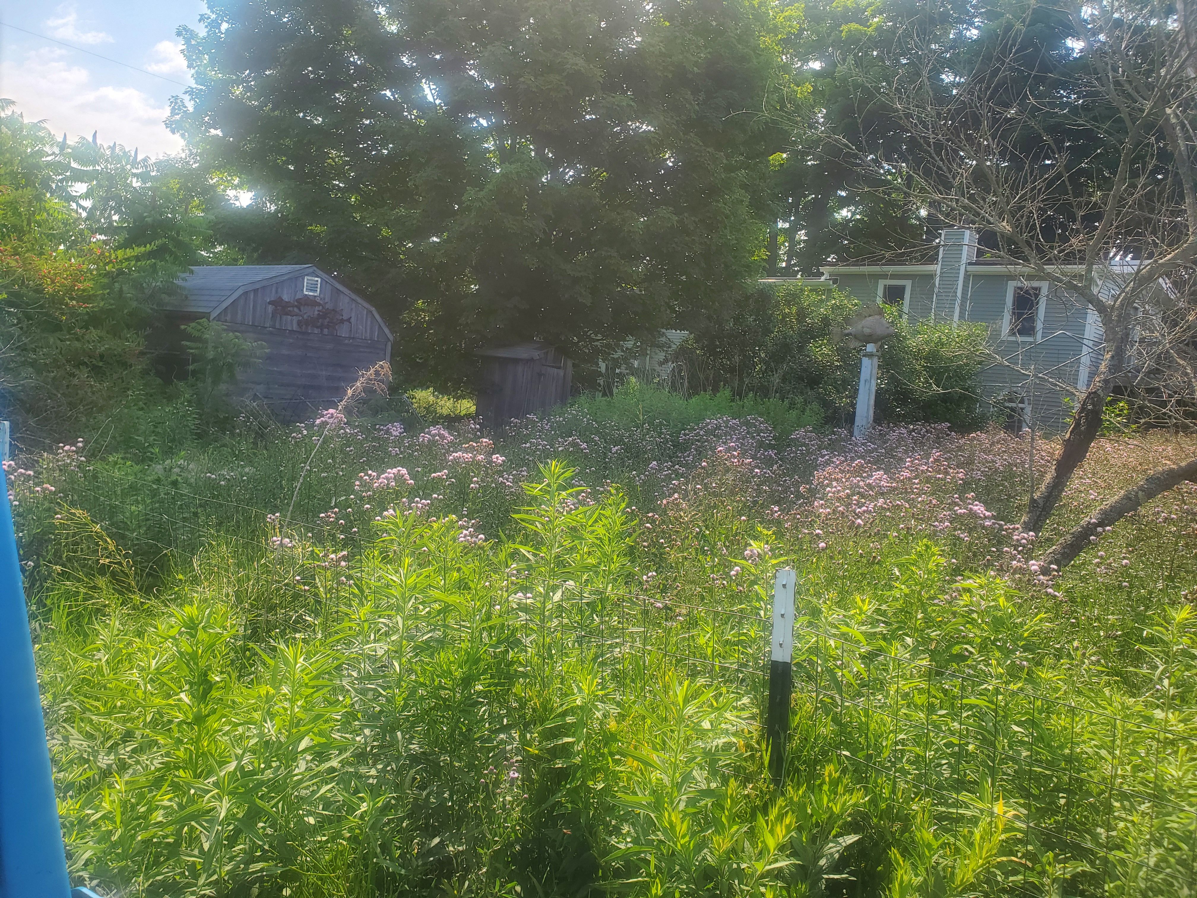  for Down Home Landscaping in Stillwater, PA