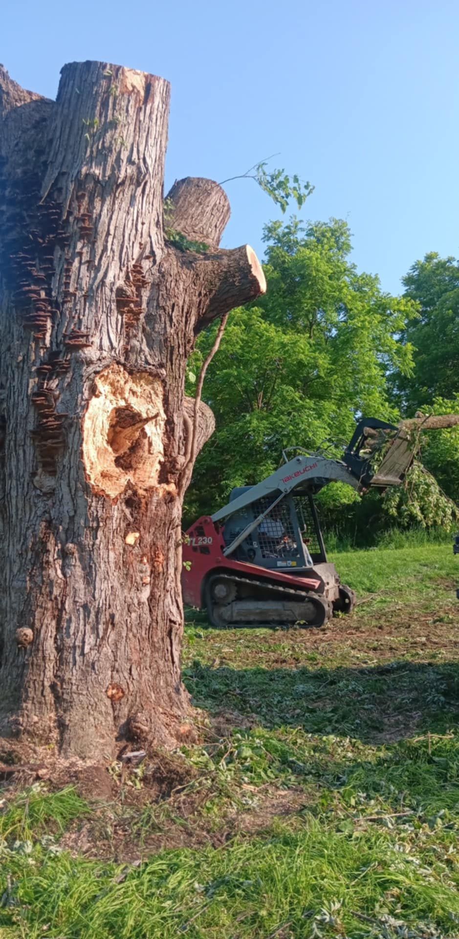  for Lawn Ranger Yard And Tree Service LLC in Ottumwa, IA