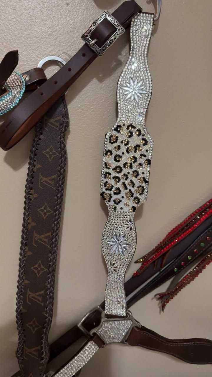  for Florida Native Equestrian Development in Central Florida, FL