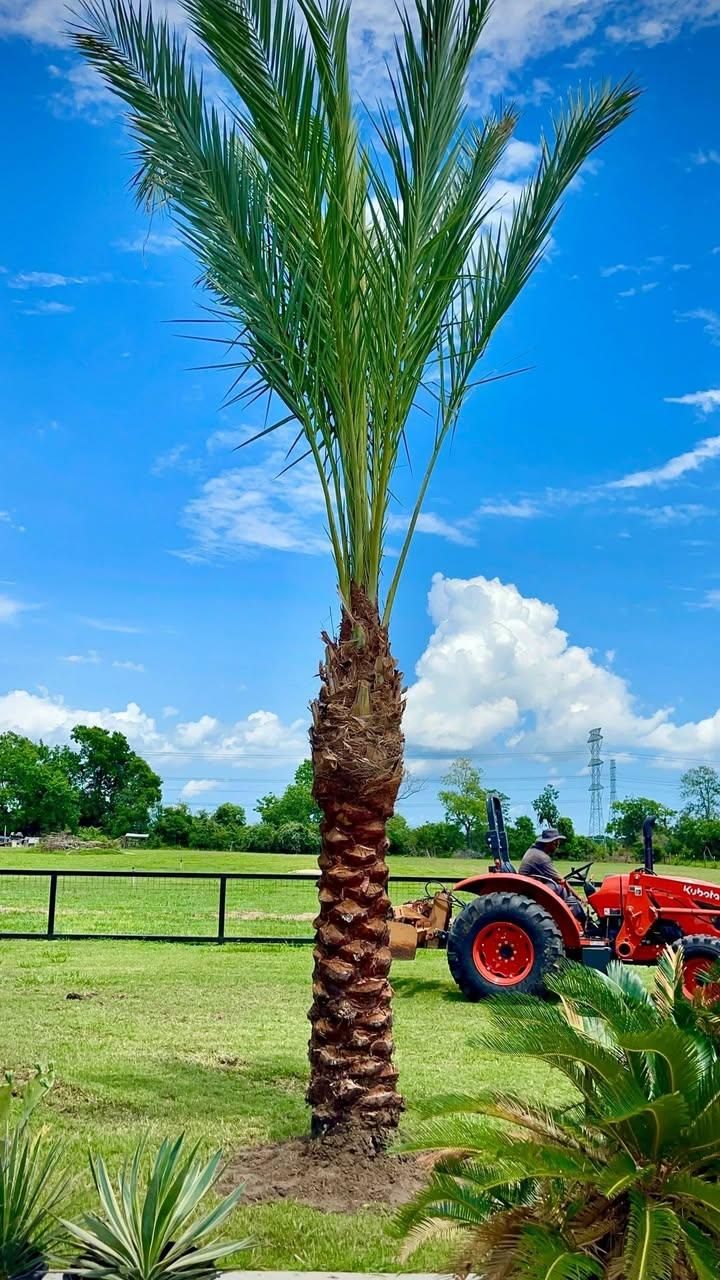  for Full Armor Landscapes in League City, TX