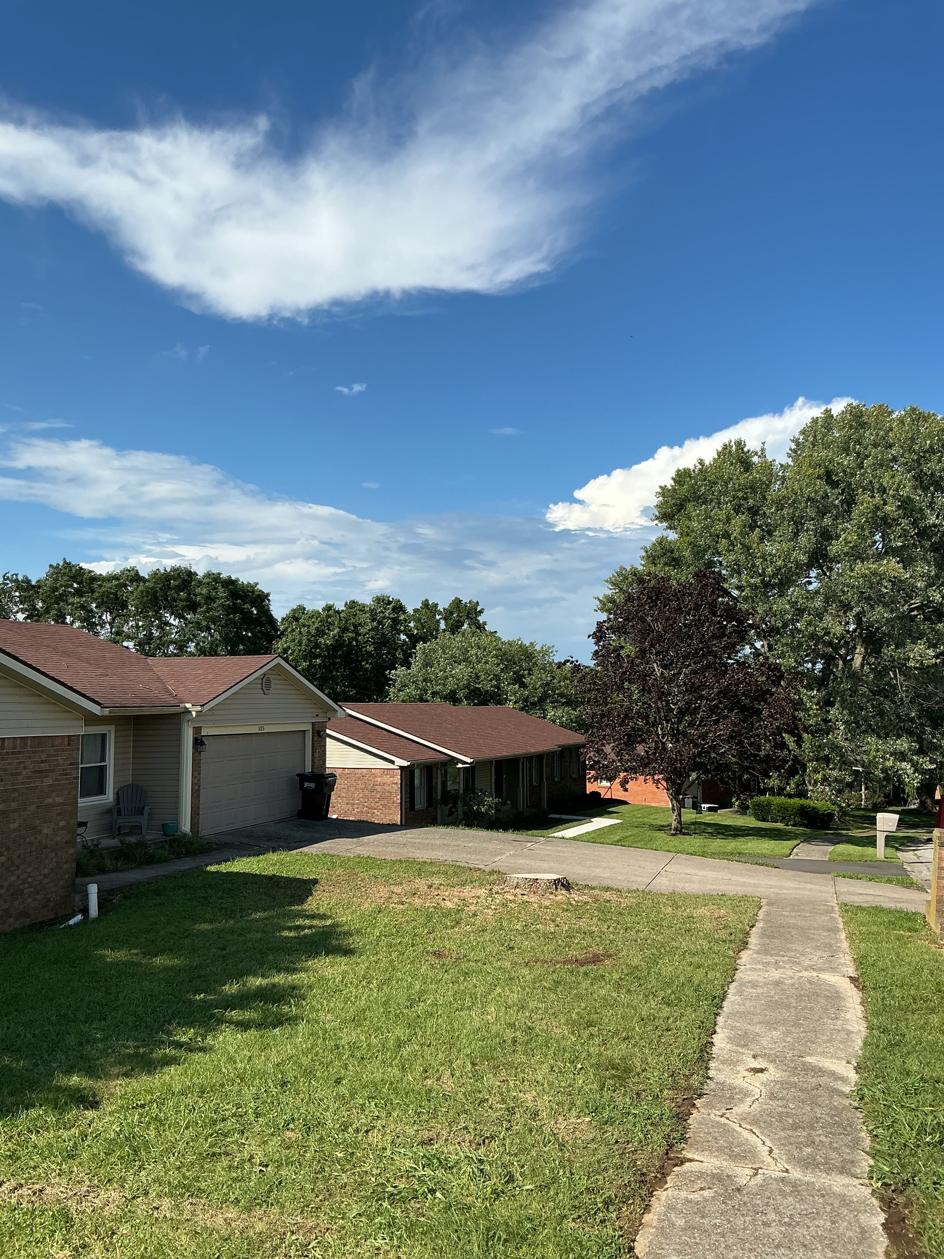 Tree Removal for Houtz Tree Service in Lexington, KY