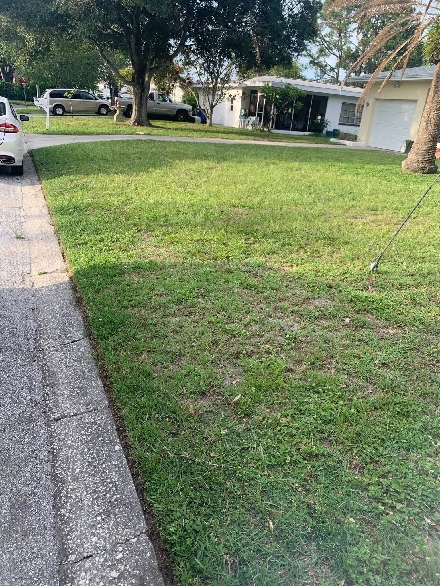  for Mitchell Lawn Service in Odessa, FL