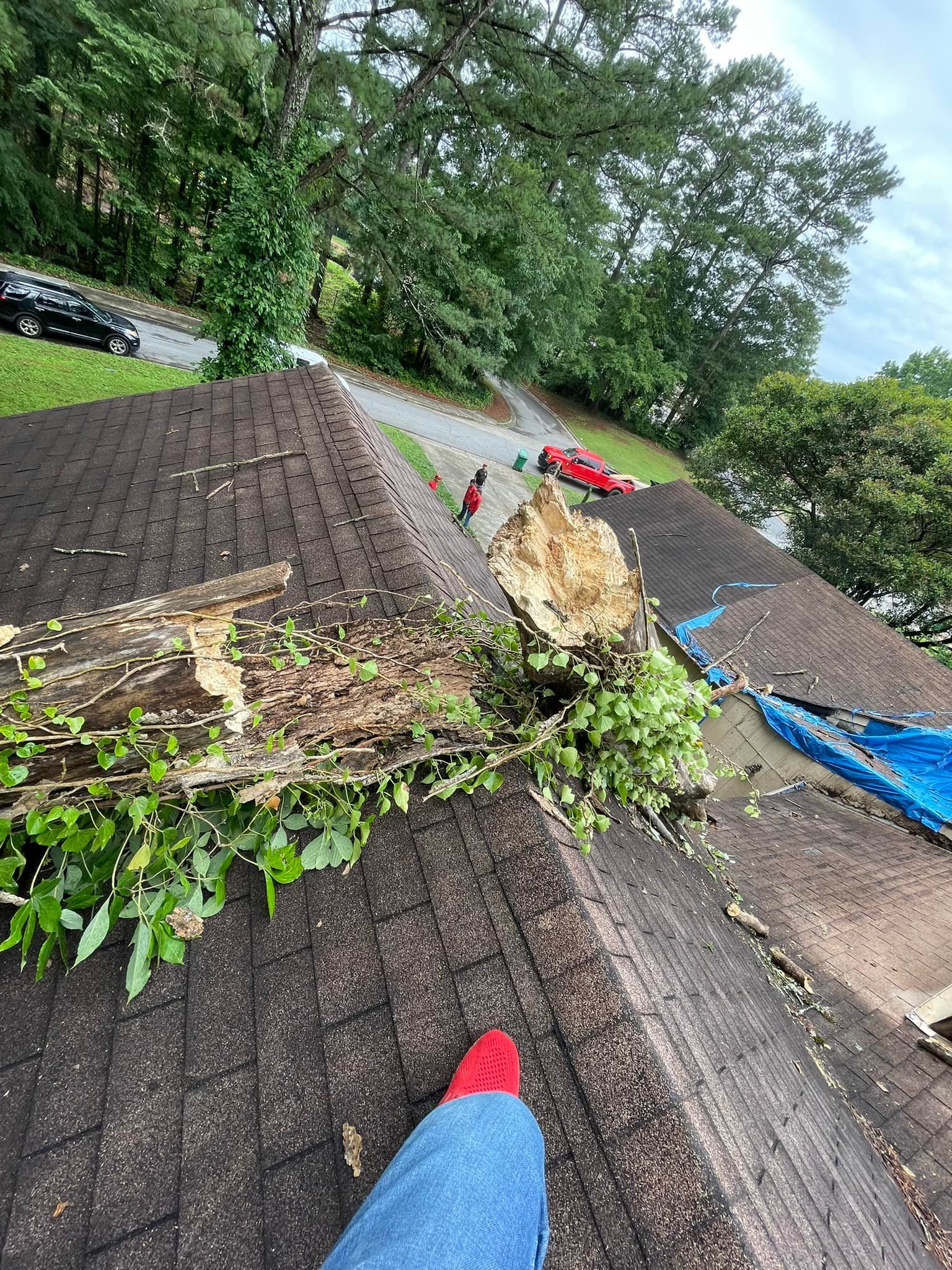  for Bulldawg Disaster Response in Atlanta, GA