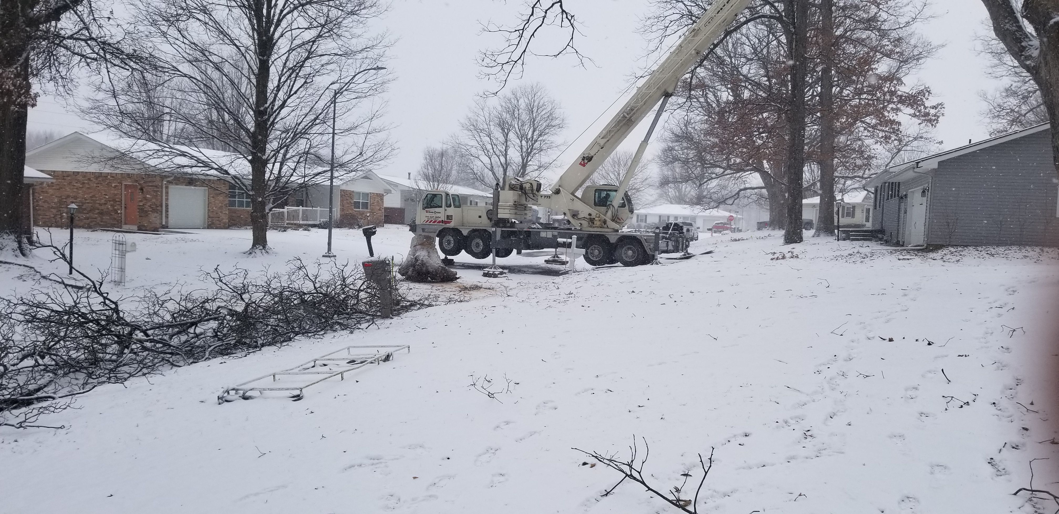  for Advanced Tree Solutions in Rockville, IN