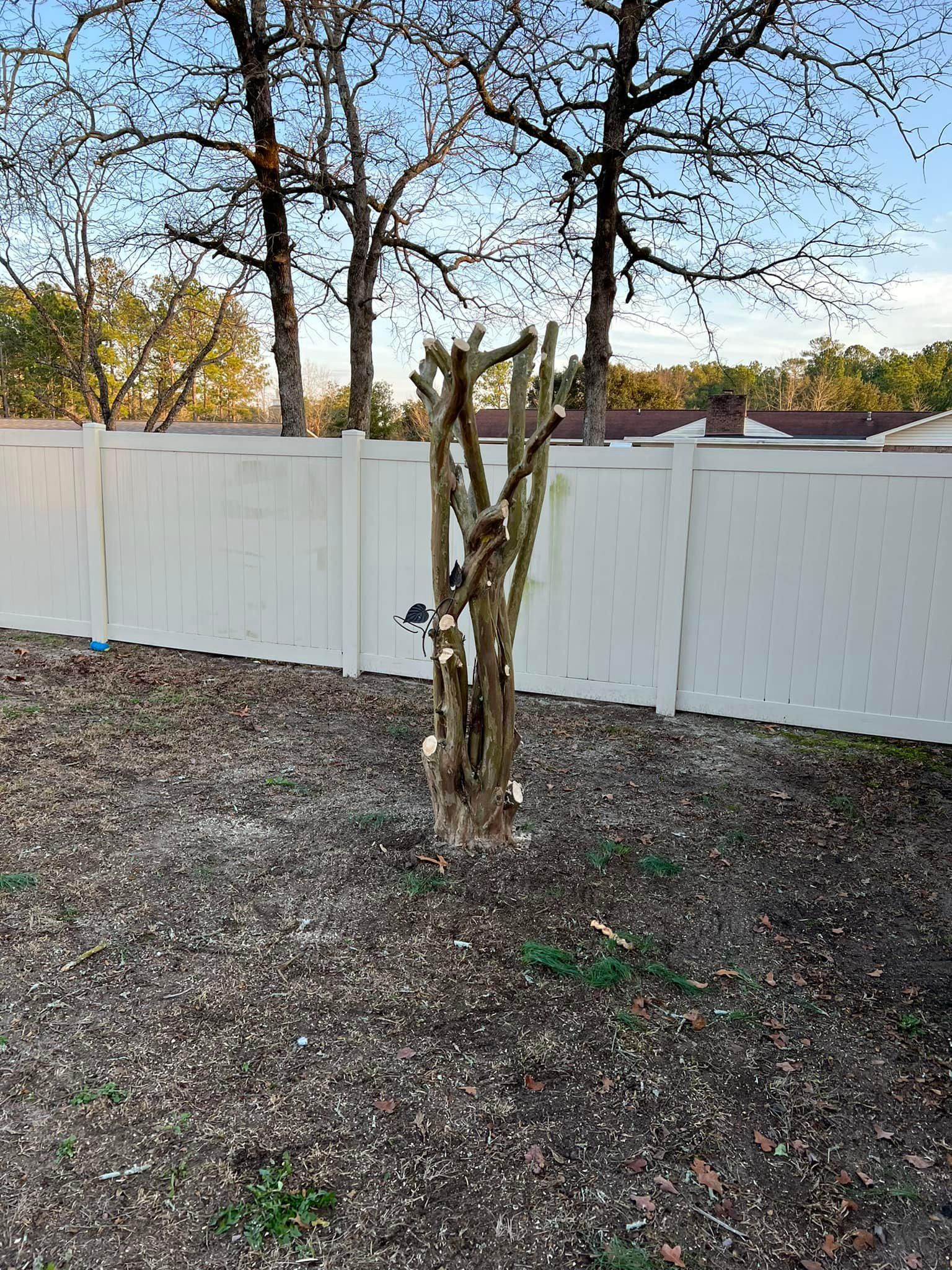  for Shang's Landscaping Service in Columbia, South Carolina