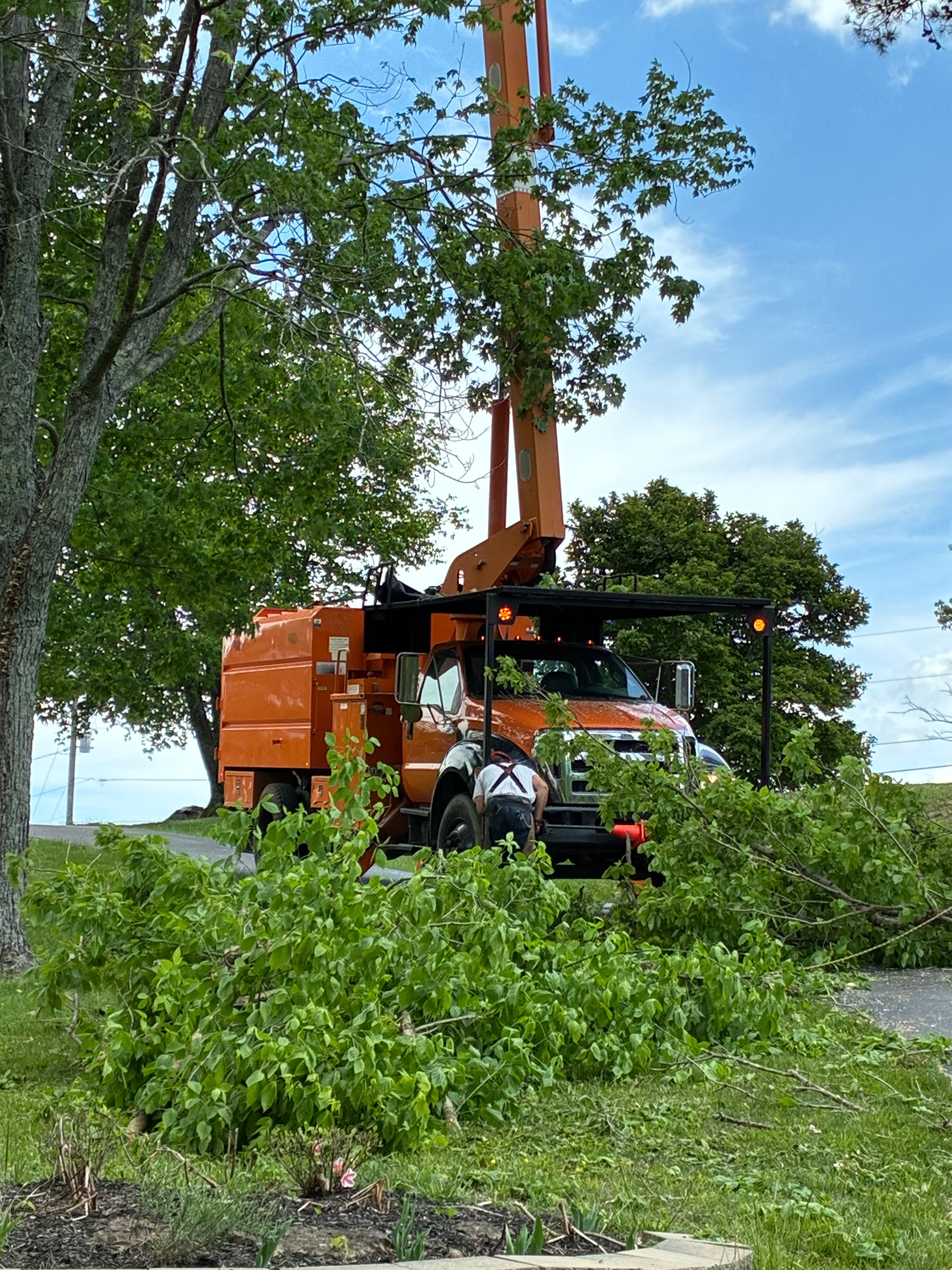  for Brocks Tree Service LLC in Rogersville, TN