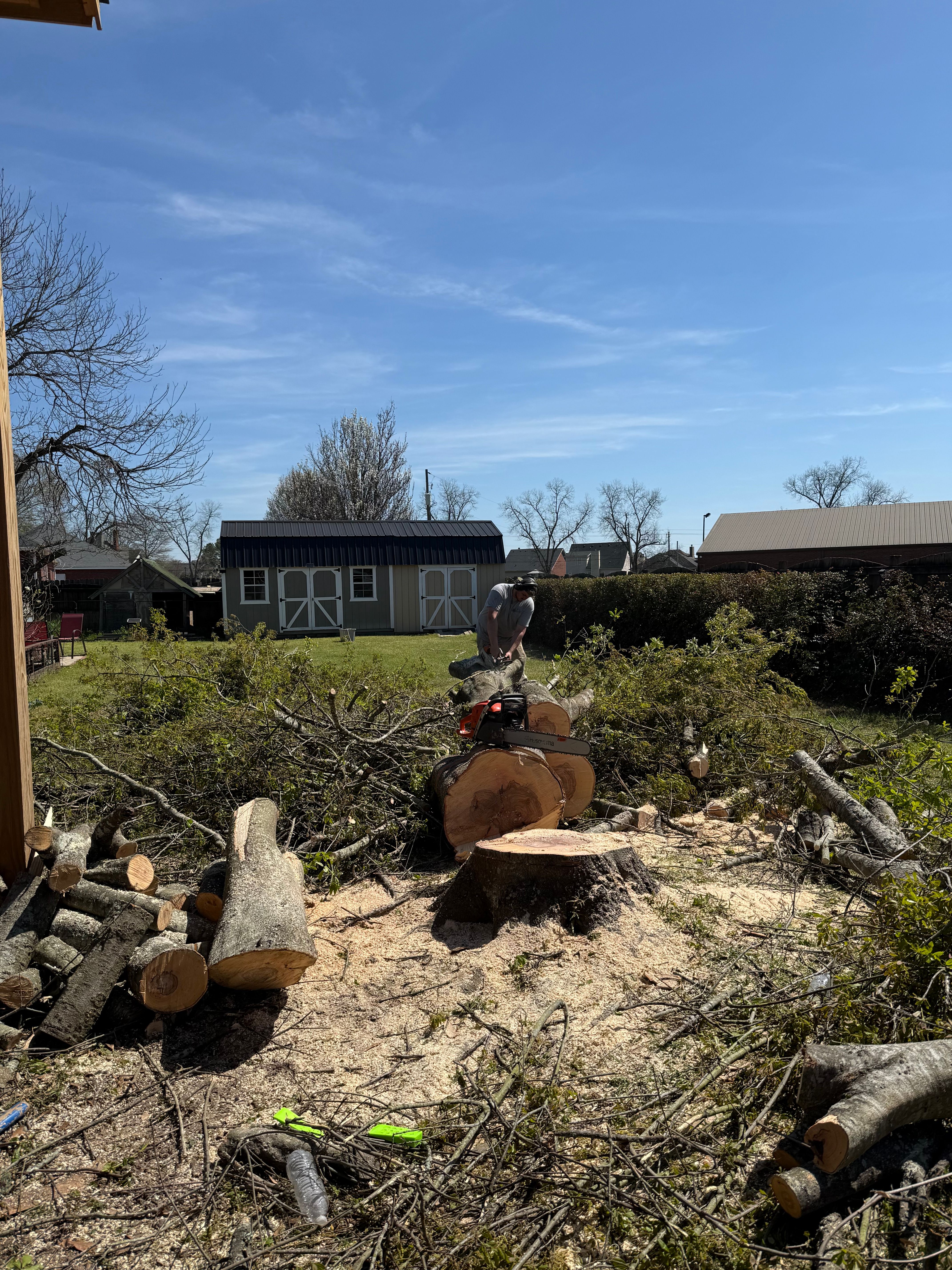  for T N L - Tree and Land Service in Reynolds, GA