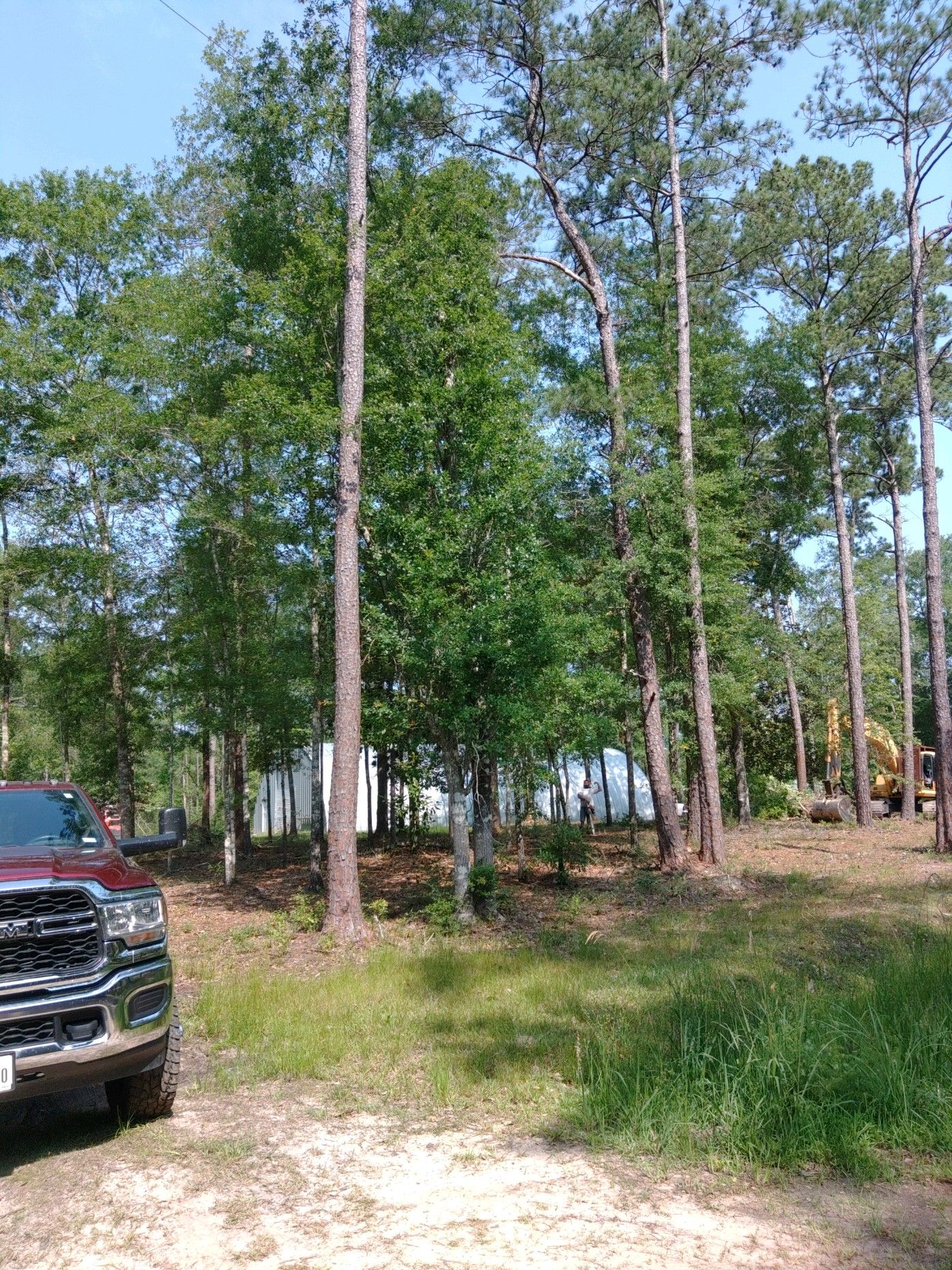 All Photos for Big Thicket Land Clearing in Kountze, TX