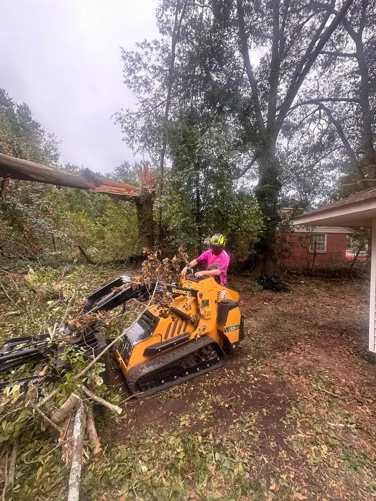  for Elite Tree & Landscape Services LLC in St. Augustine, FL
