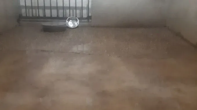  for Smith Power Washing in Grove City, MN