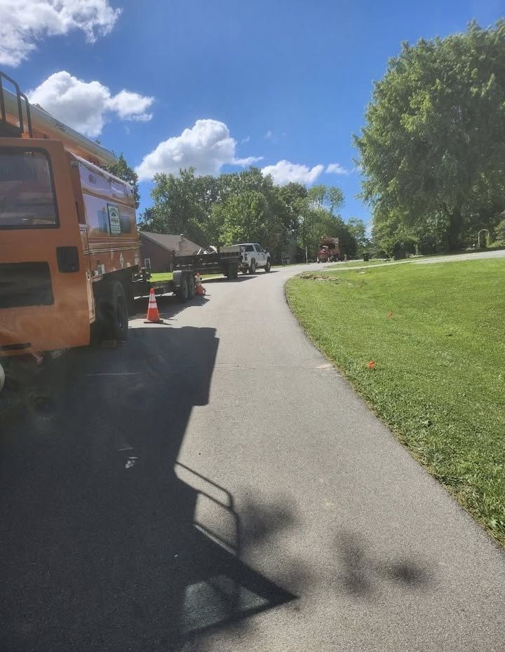  for Carpenter's Tree Service in Aurora, IN