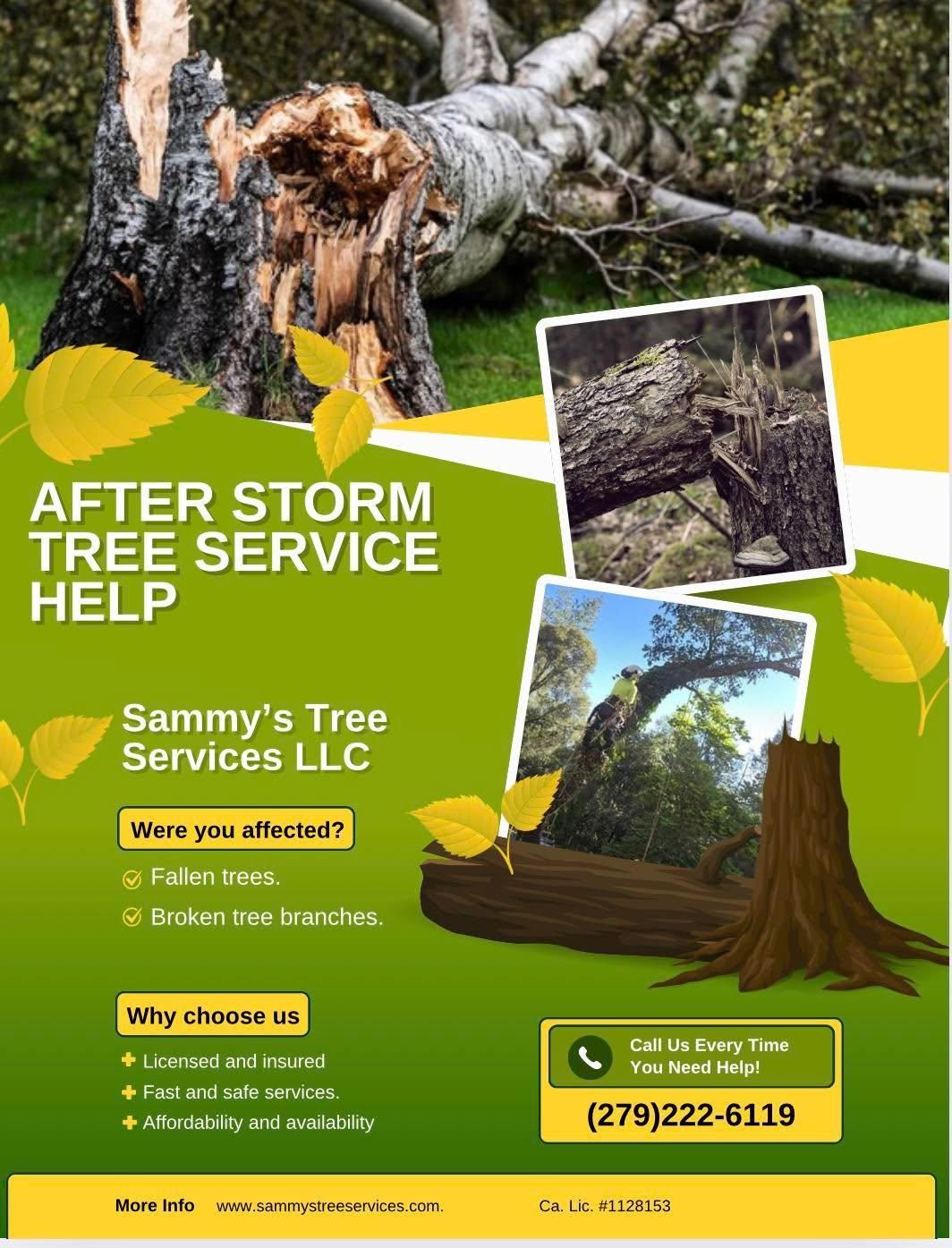 All Photos for Sammy's Tree Services in Sacramento, CA