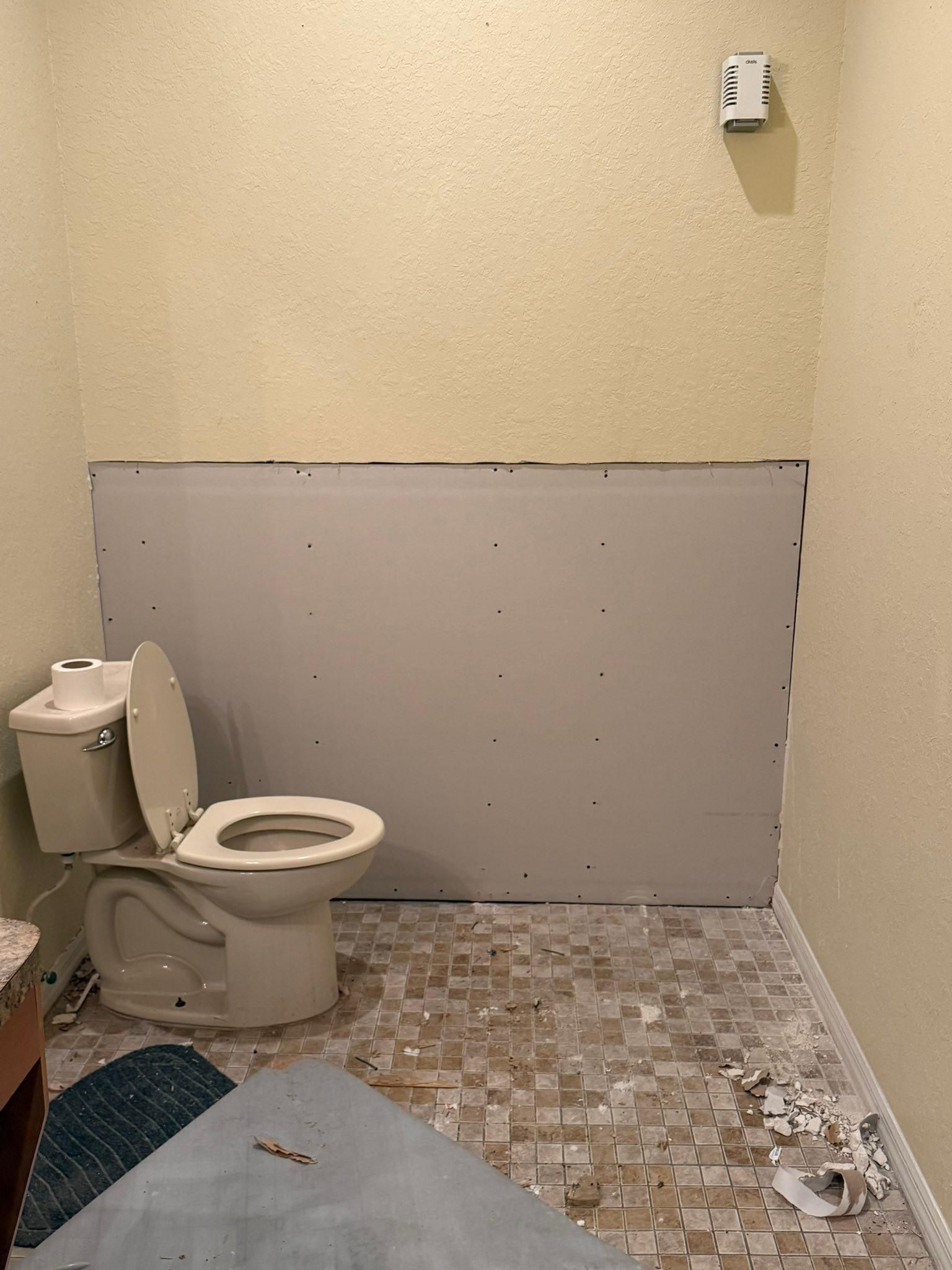  for Escorpio Painting in Tampa, FL