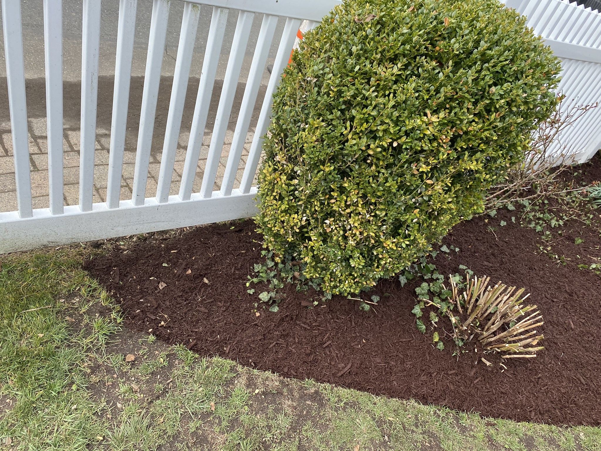 Landscaping for Sousa Landscape Design and Services in Madison, CT