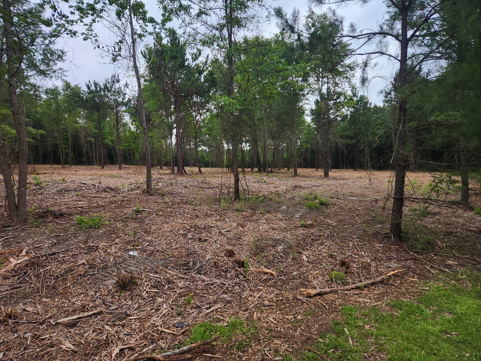  for 903 Mulching in East Mountain, TX