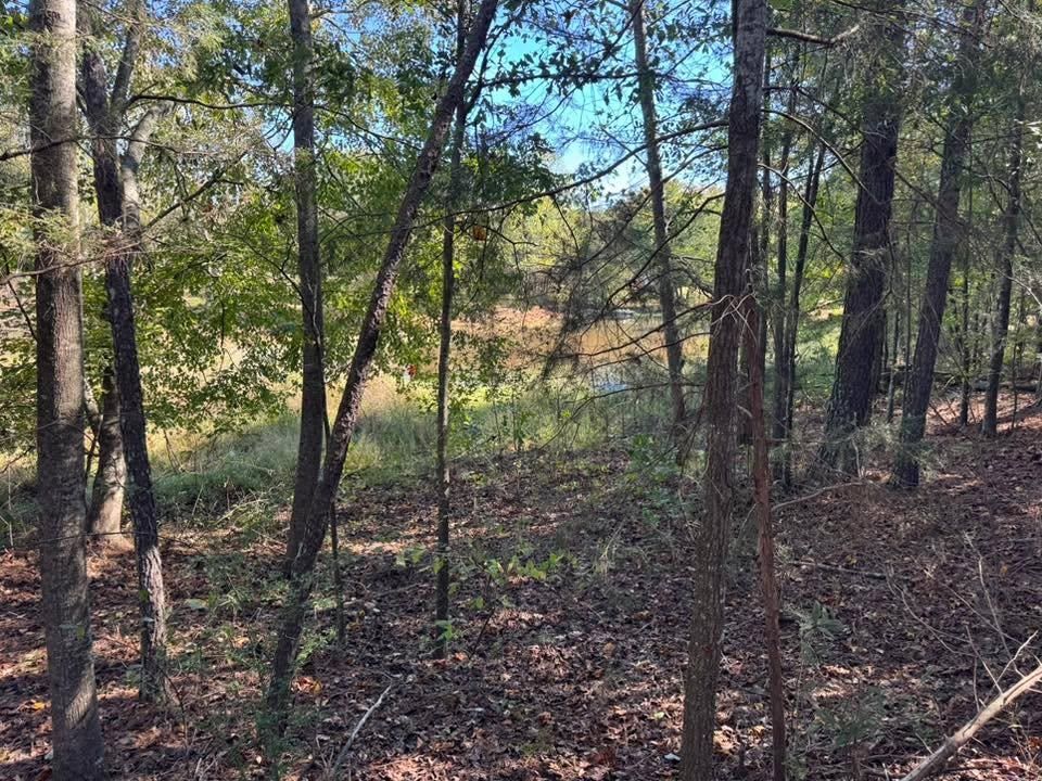  for KLNAX Enterprises in Newton County, GA
