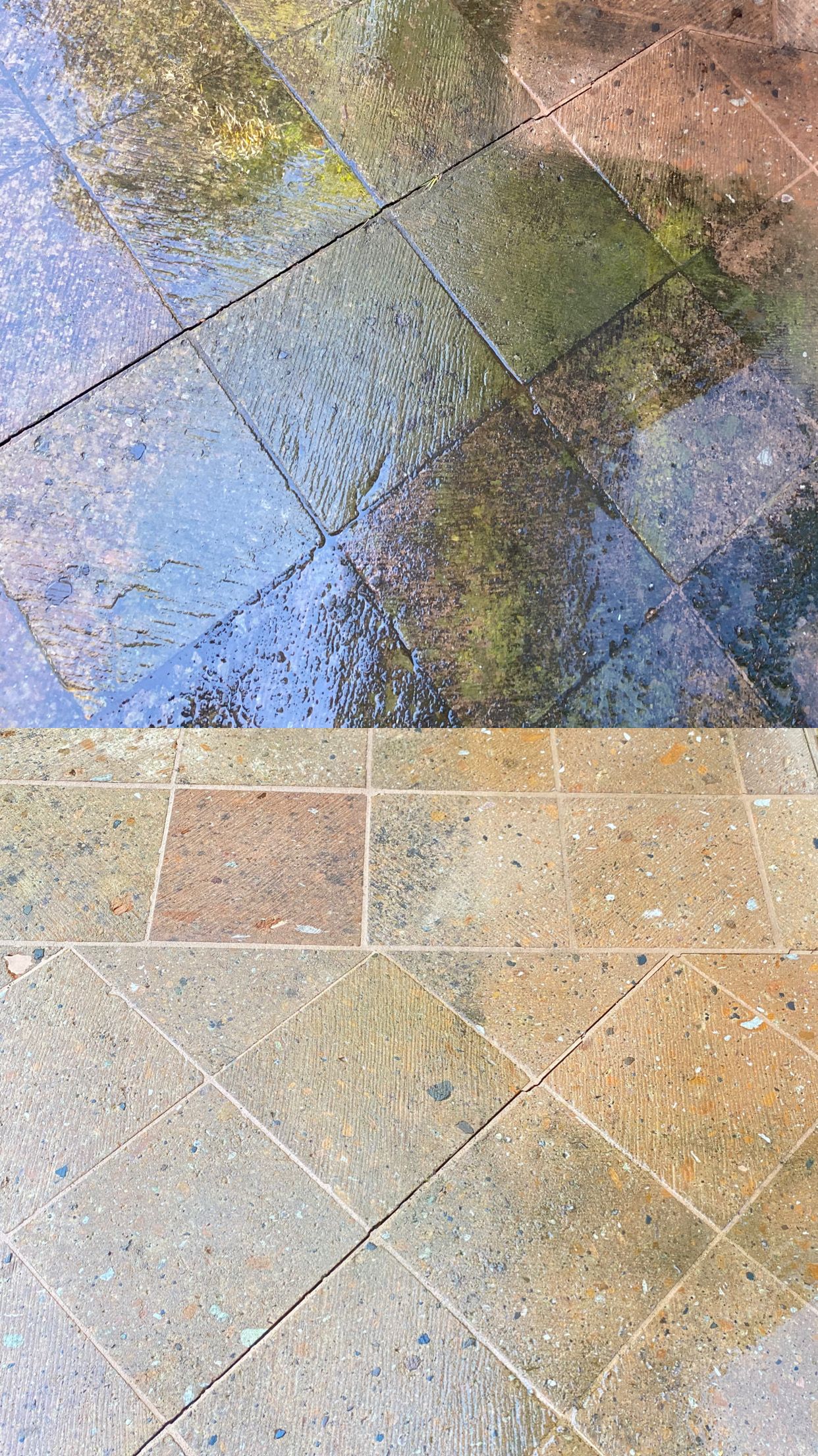 All Photos for Elite Shine Property Services: The #1 Choice for Window & Exterior Cleaning in South OC in Orange county, CA