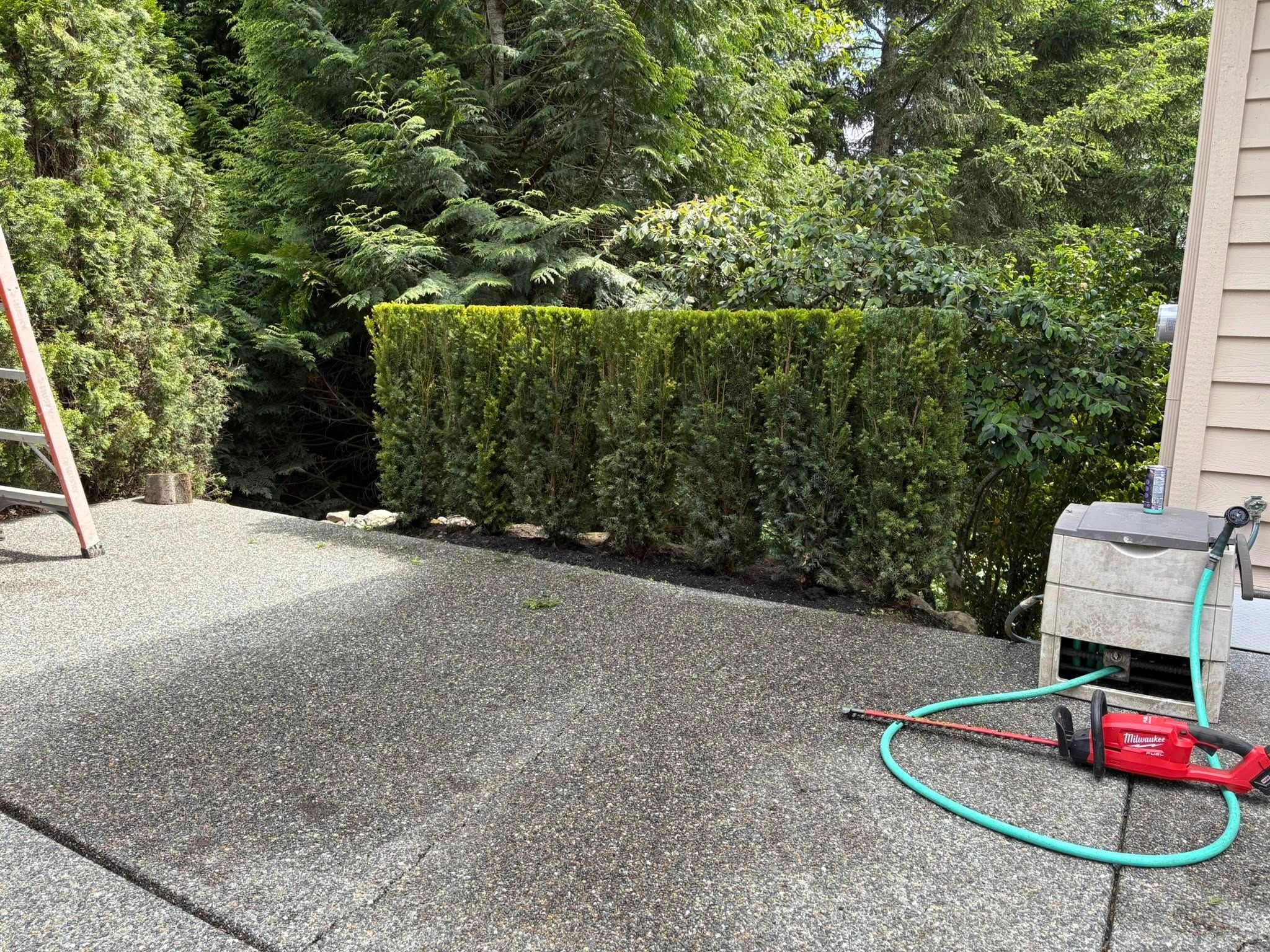 All Photos for Teo’s Property Maintenance and Solutions in Redmond, WA