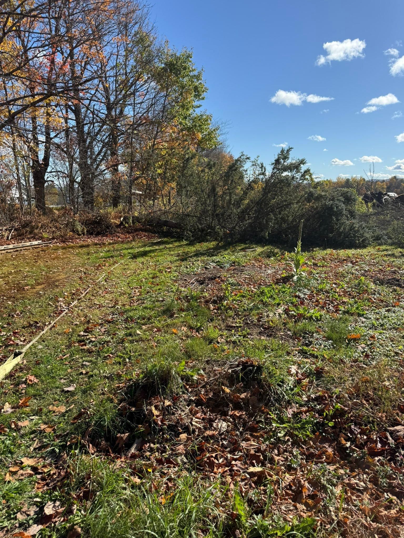  for CWB Lawn Care & Landscaping in Franklin County, ME