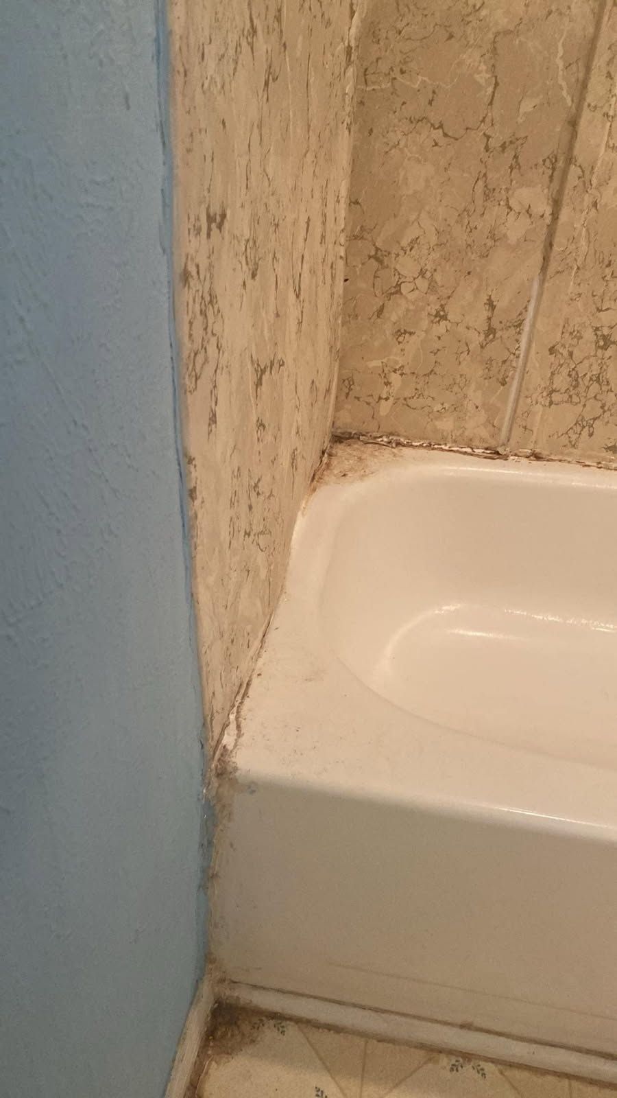  for Gio's Construction in Cameron,  TX
