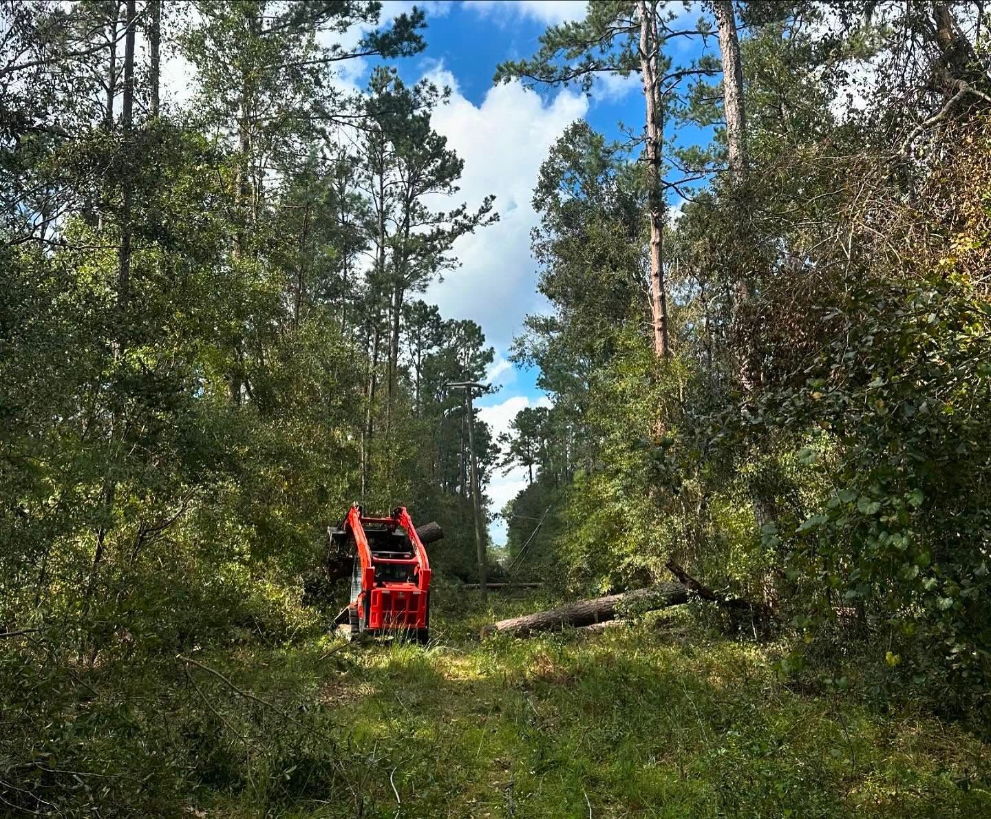  for C&C Excavating in Live Oak, FL