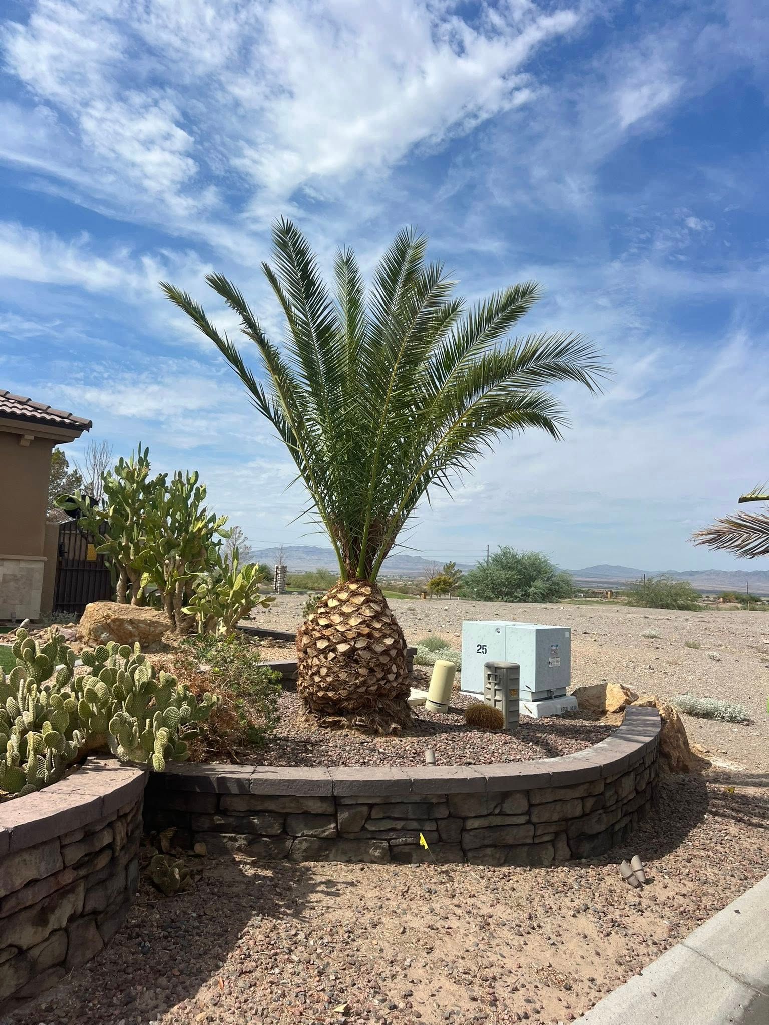  for Top Notch Landscape Services in Mohave Valley, AZ