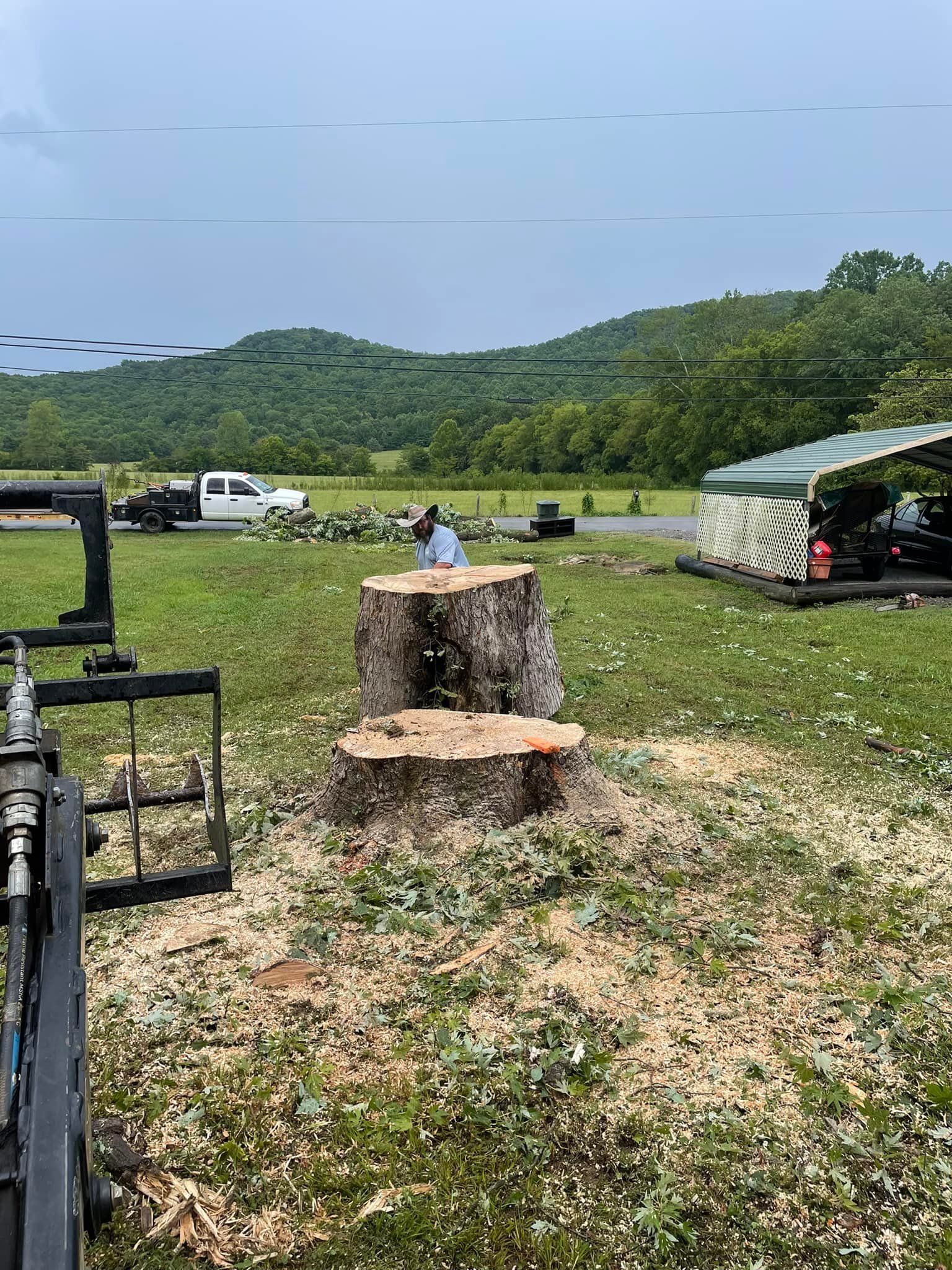 Tree Services for Tree Guys Pressure Washing & Stump Grinding in Scottsboro, AL