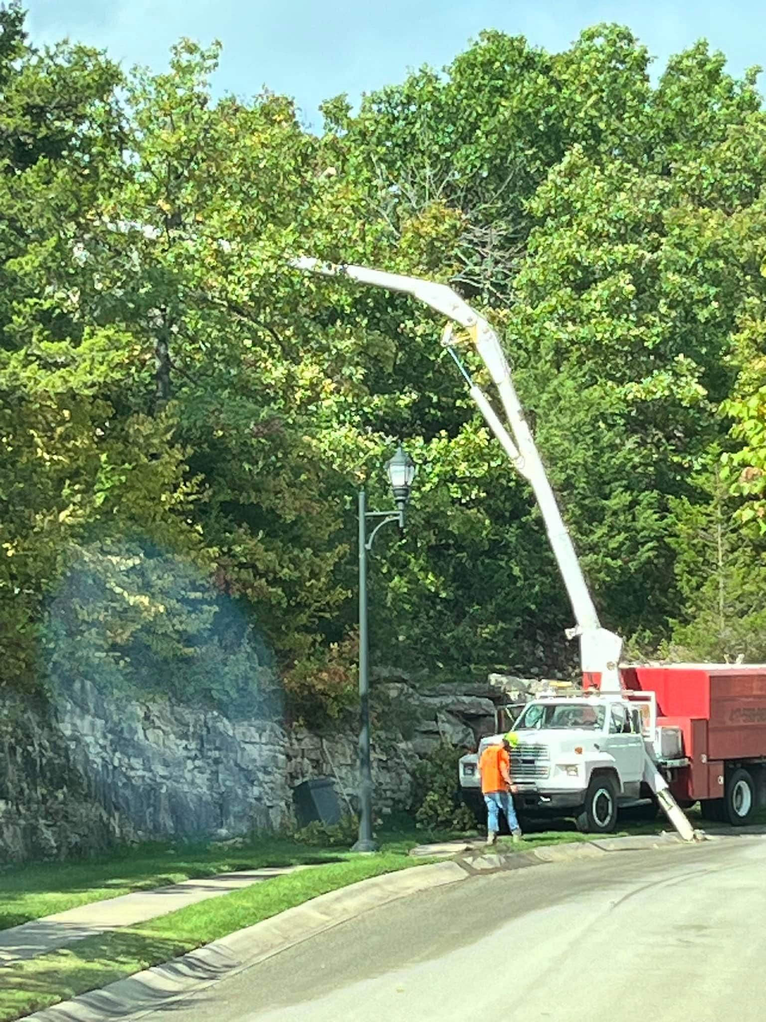  for H n H Tree Service in Taneyville, MO