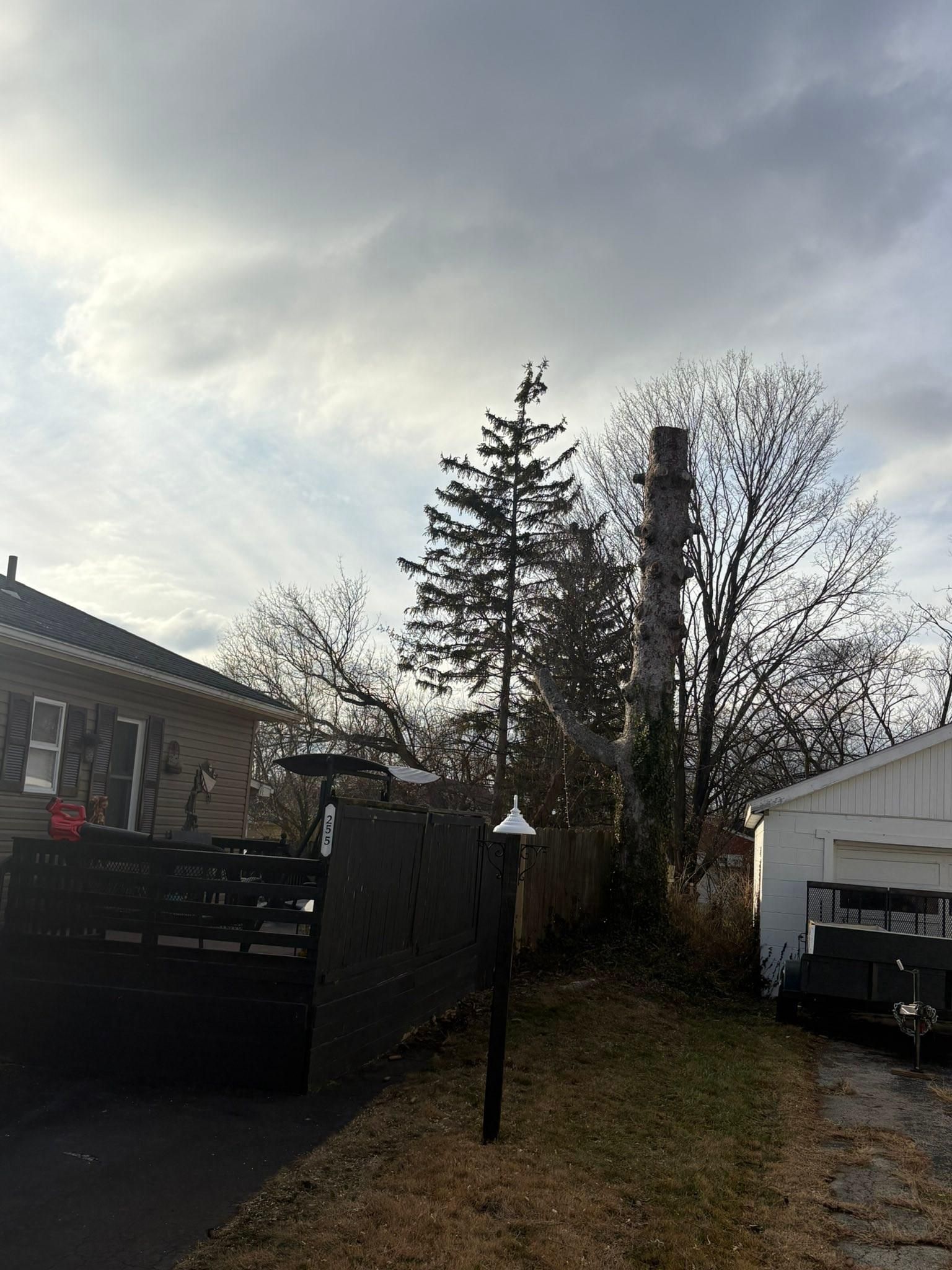  for Dig-It Tree Company in Mason, OH