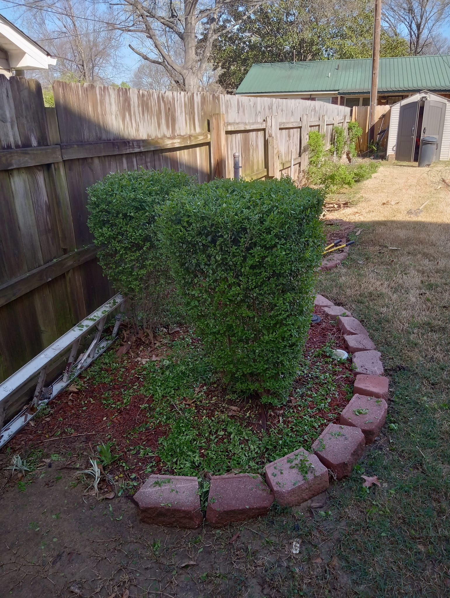  for The DUFF LAWN Service in Houston, Texas